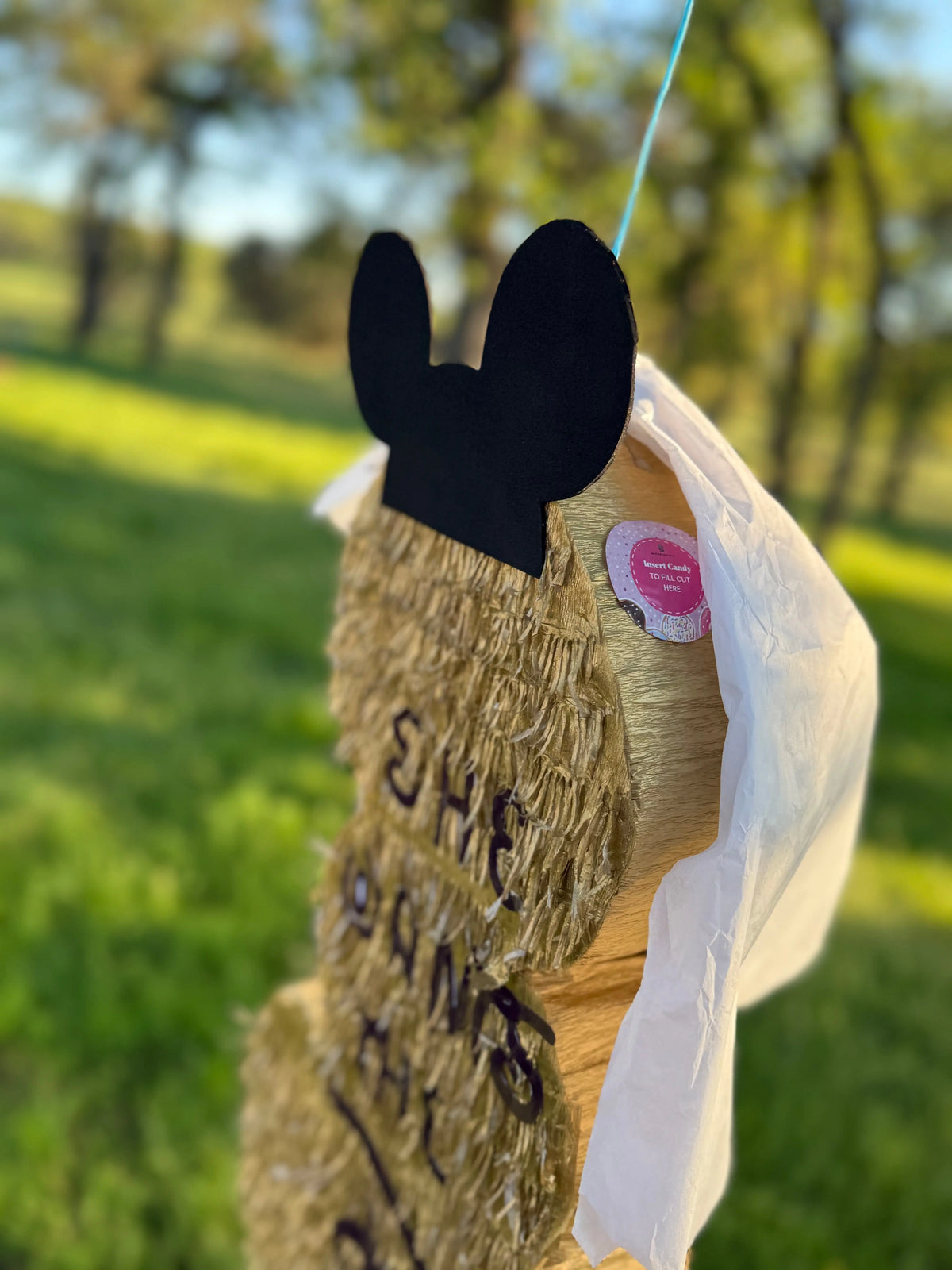 Adult Bachelorette Party Pinata, Penis Shape 23"x16"x4" Girls Night Out Party PinataBloom