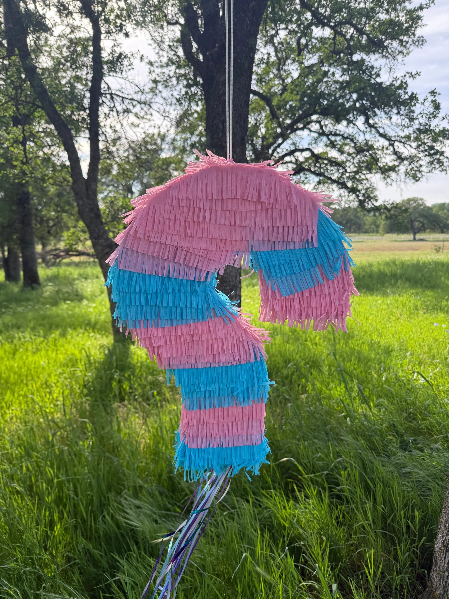 Gender Reveal Question Mark Piñata with Pink or Blue Powder | Large Handmade 2D Party Piñata PinataBloom