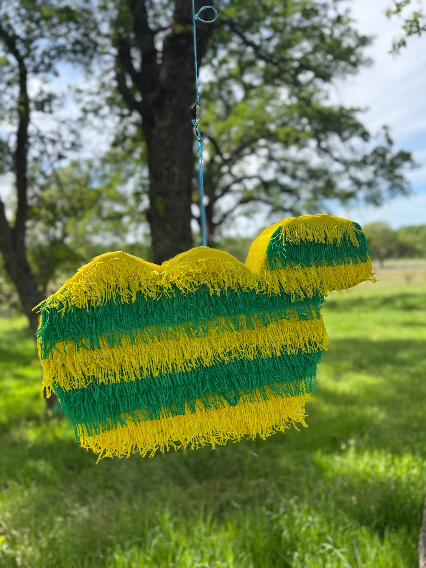 Corn Snake Piñata 24"x18"x4" | Reptile Birthday Party Decor PinataBloom