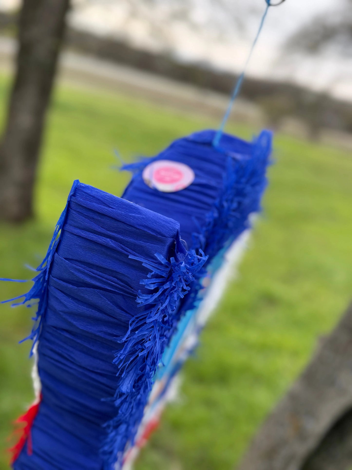 Blue Speed Hero Party Piñata 24"x18"x4" | Gaming Birthday Party Decor PinataBloom