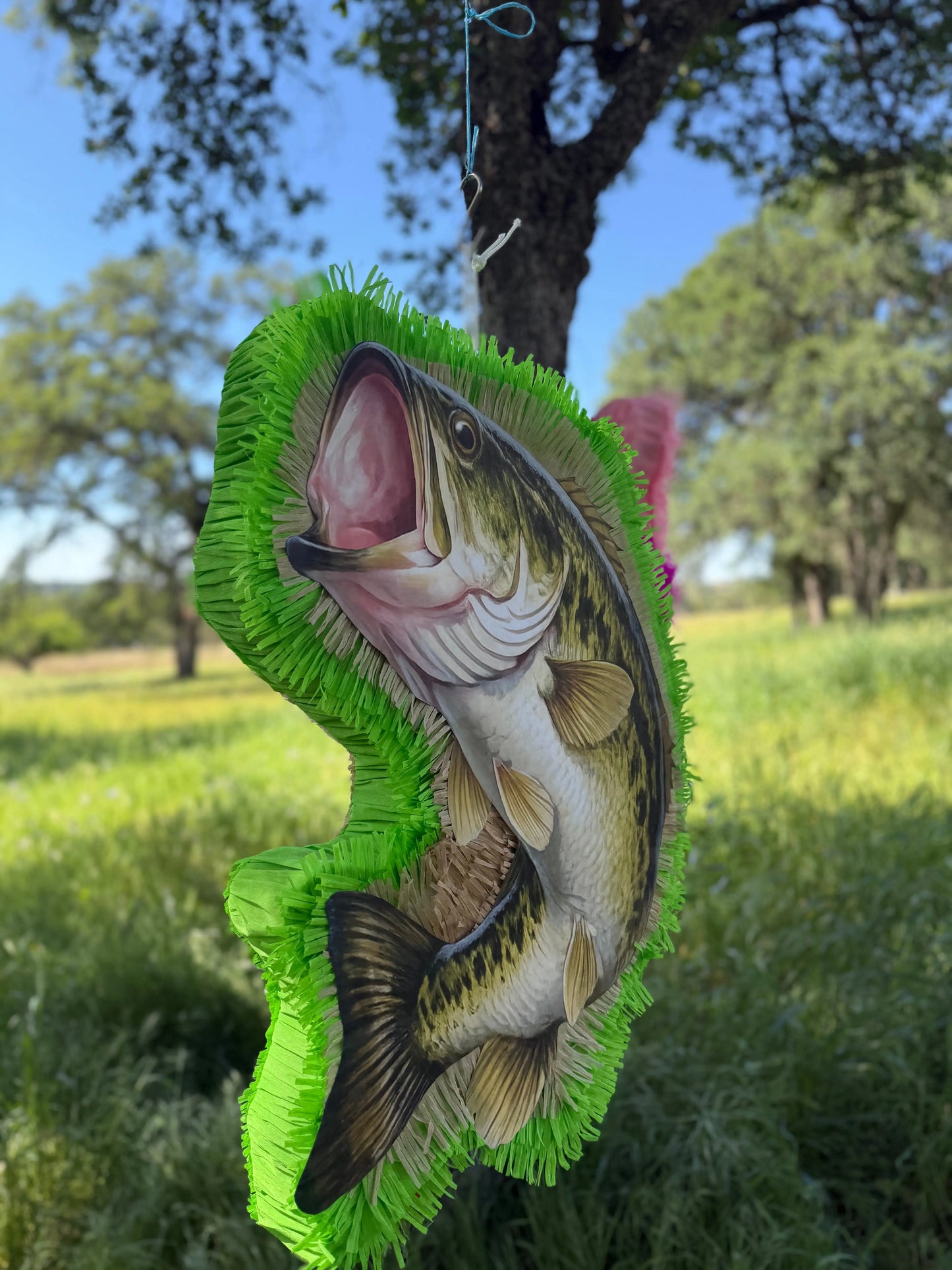 Fishing Bass Piñata | Custom Fish Birthday Party Decor 24"x18"x4" & 30"x20"x4" PinataBloom