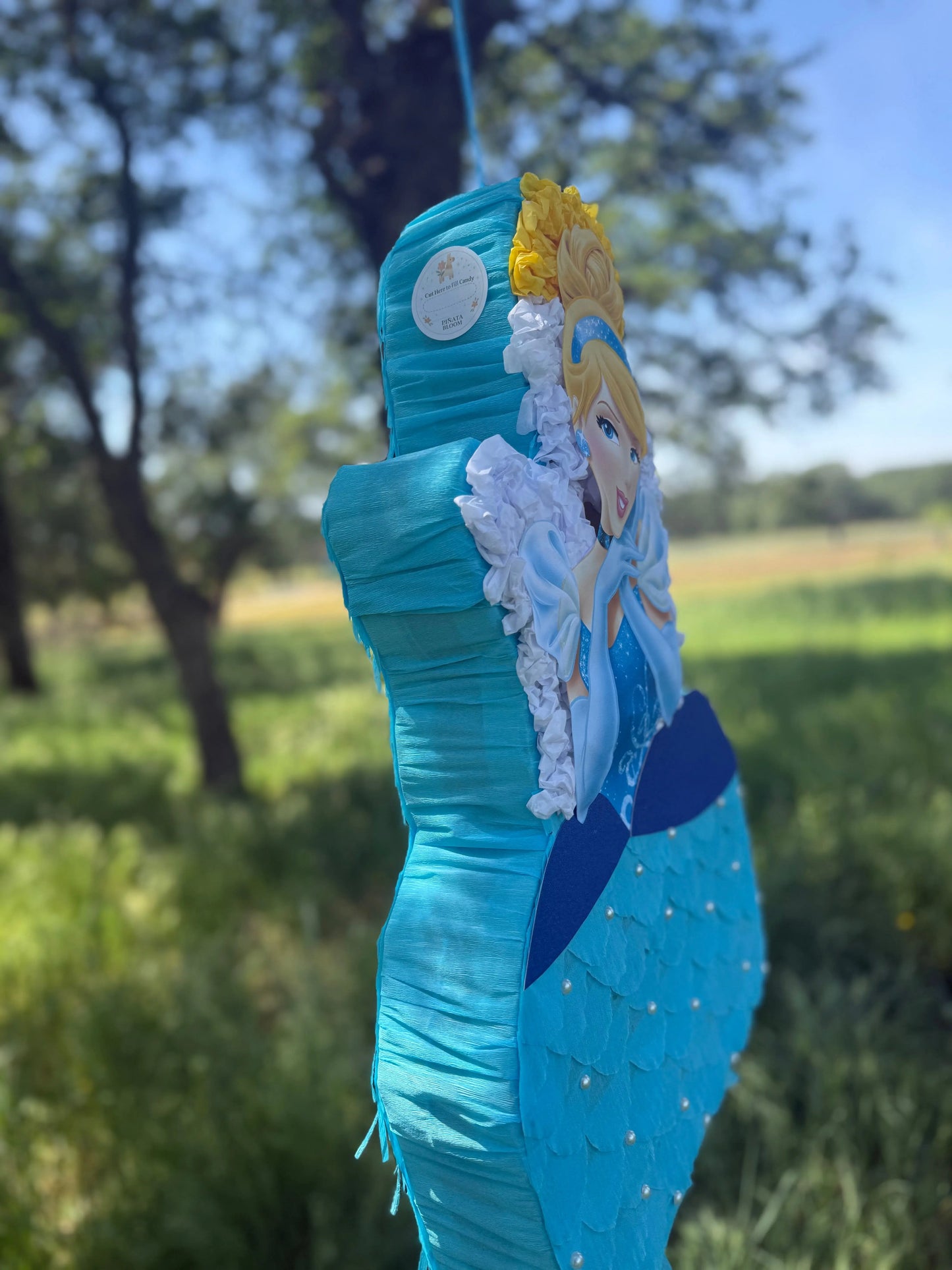 Princess Party Piñata 24"x18"x4" | Fairytale Birthday Party Decor PinataBloom