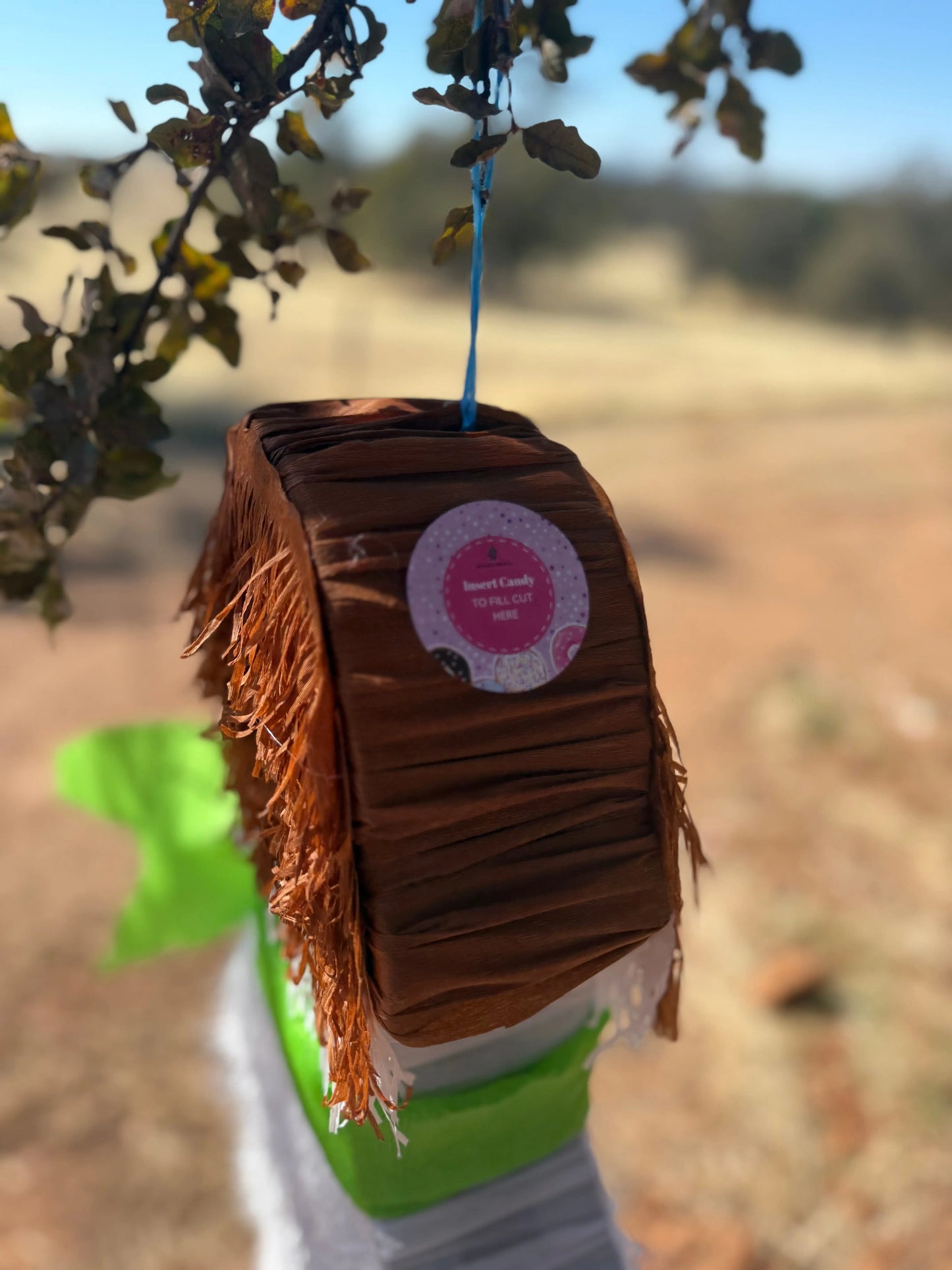 Luxury Tequila Bottle Piñata | Adult Party Decoration PinataBloom