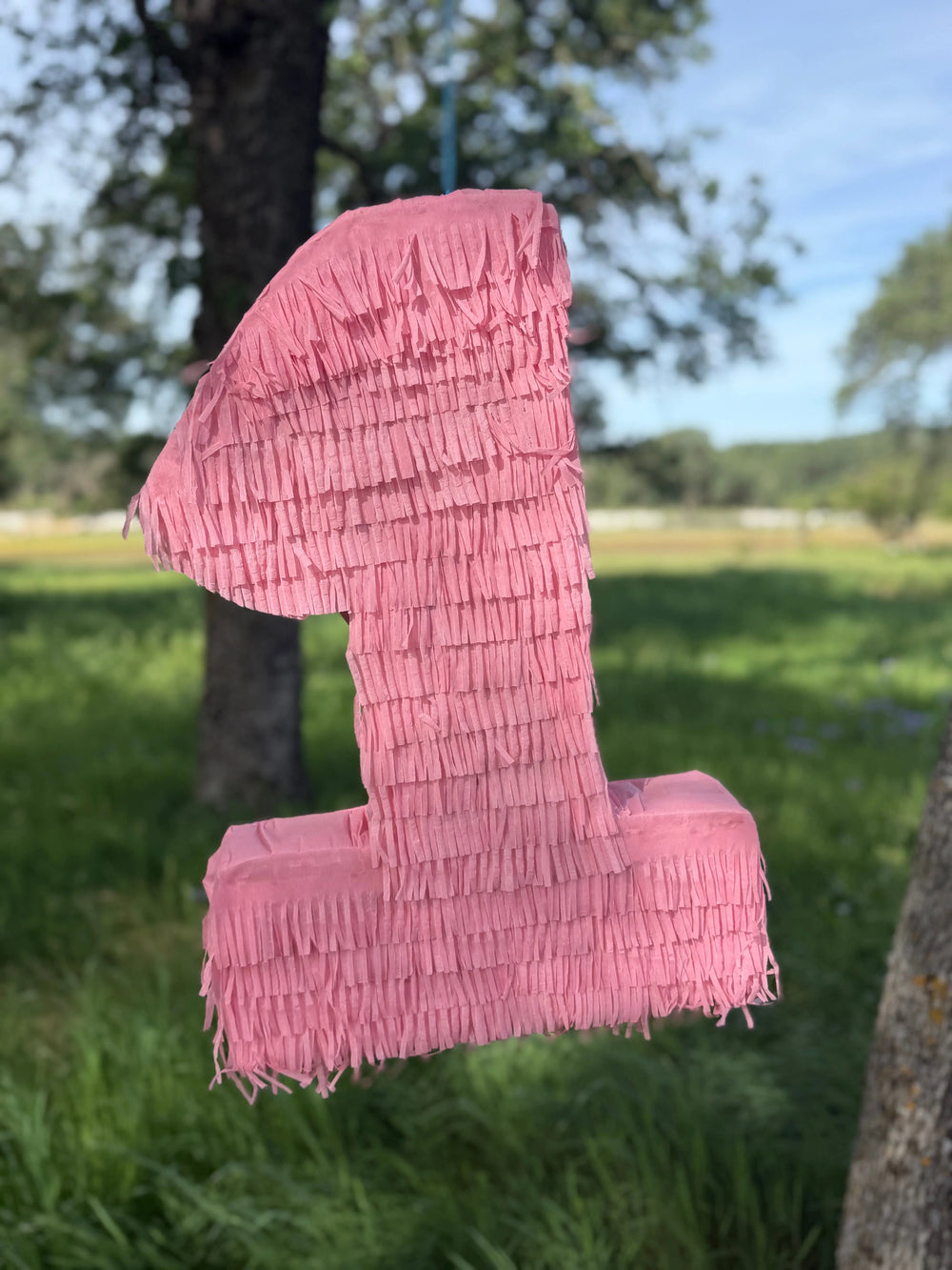 Pink Number Piñata Personalized Birthday Pinata 24"x18"x4" and 30"x20"x4"