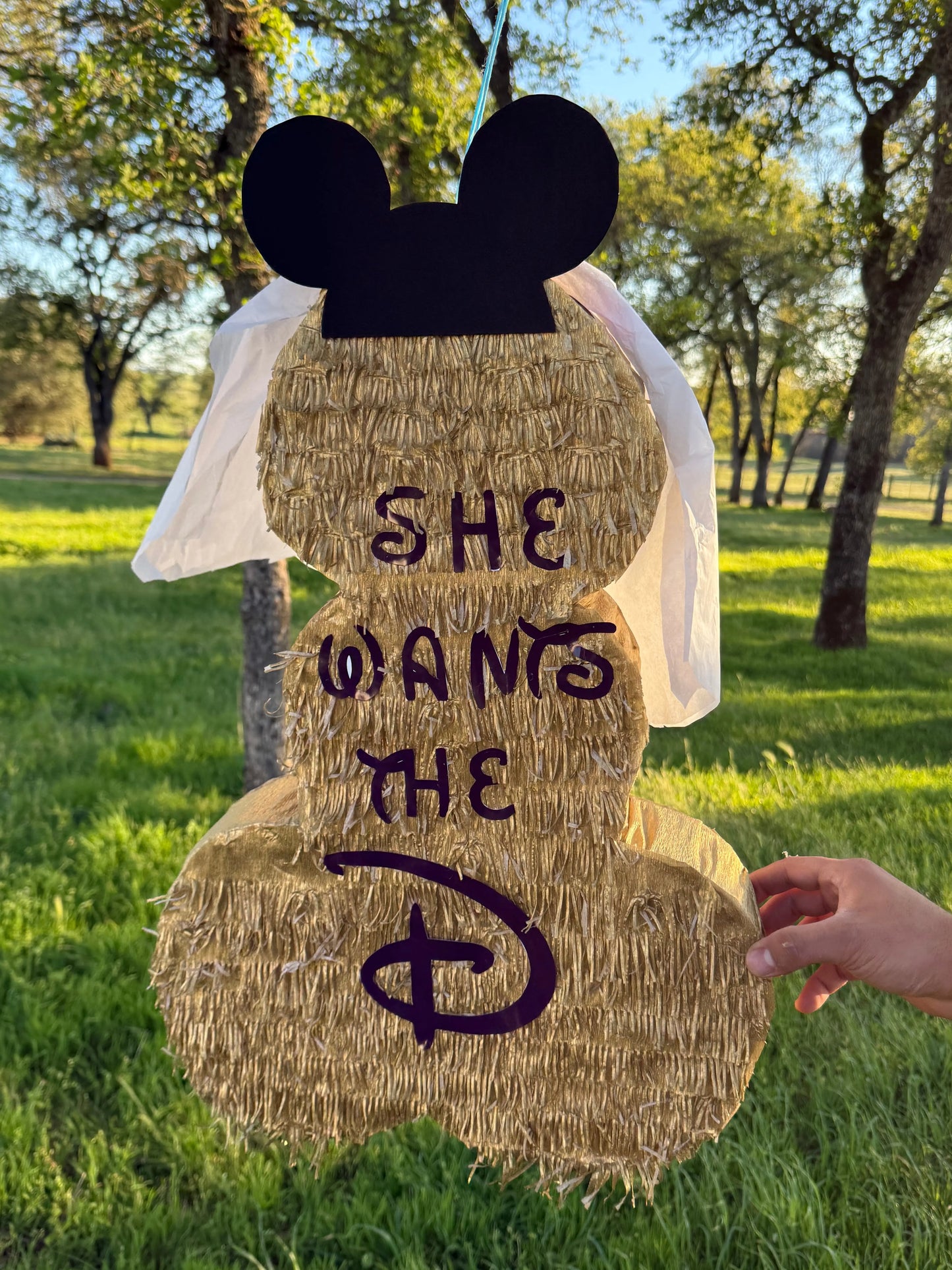 Adult Bachelorette Party Pinata, Penis Shape 23"x16"x4" Girls Night Out Party PinataBloom