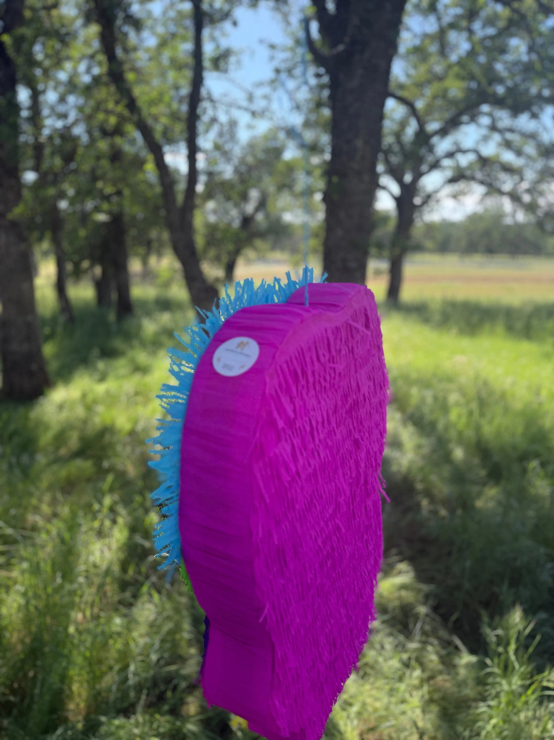 Chatter Bird Piñata 24"x18"x4" | Colorful Bird Party Decoration PinataBloom