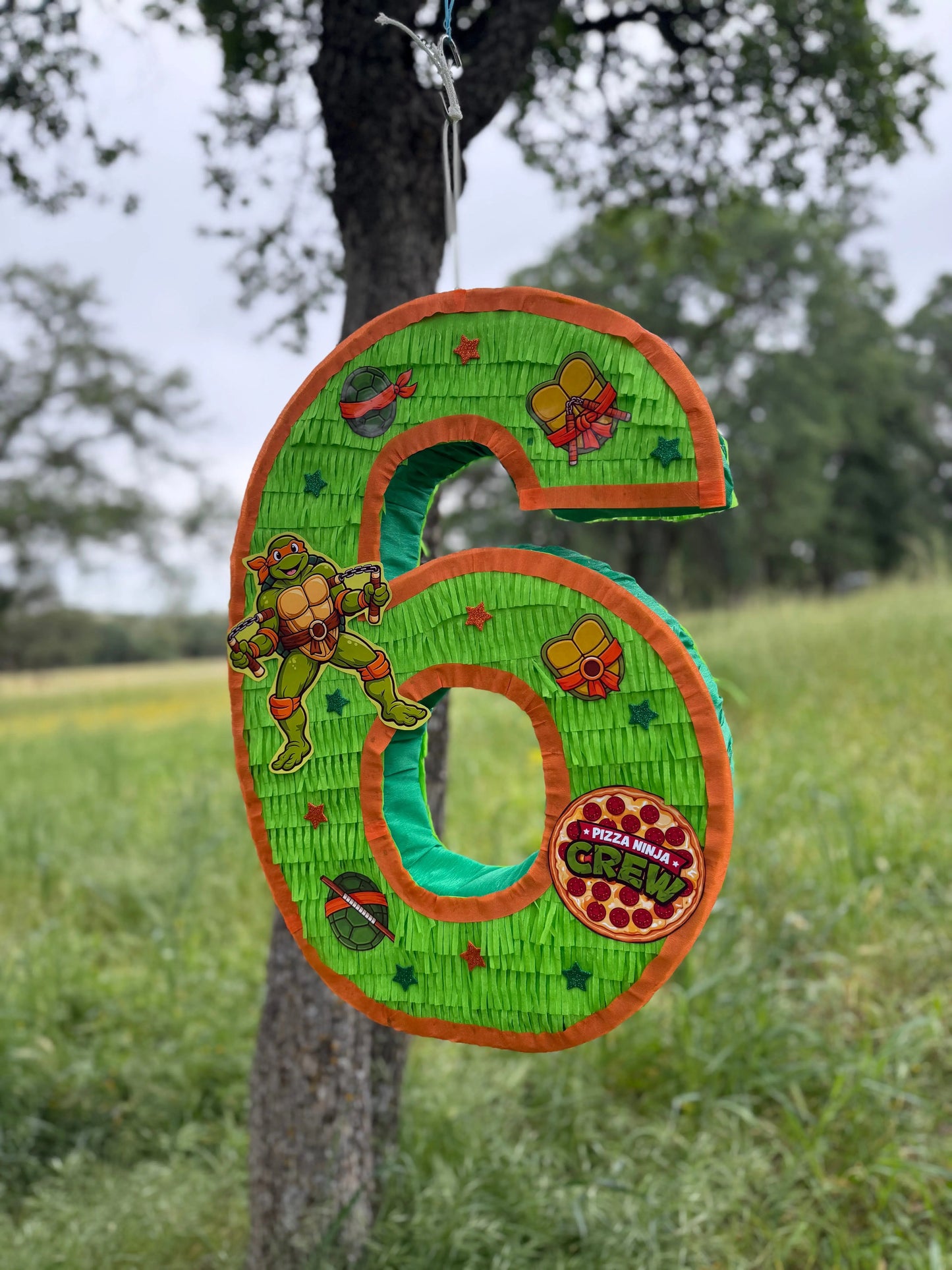 Mutant Turtle Custom Number Piñata | Large Handmade 2D Party Decoration PinataBloom