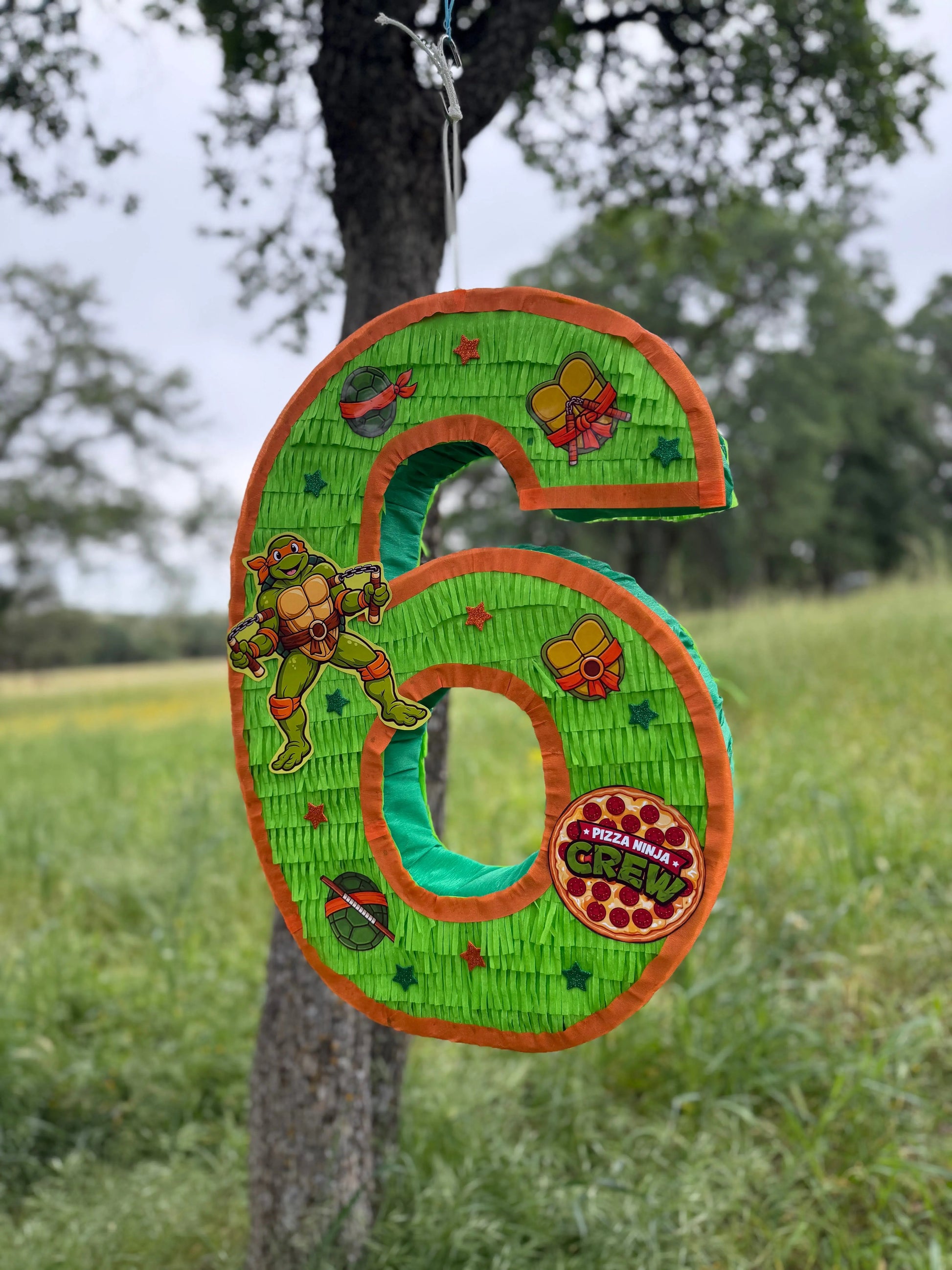 Mutant Turtle Custom Number Piñata | Large Handmade 2D Party Decoration PinataBloom