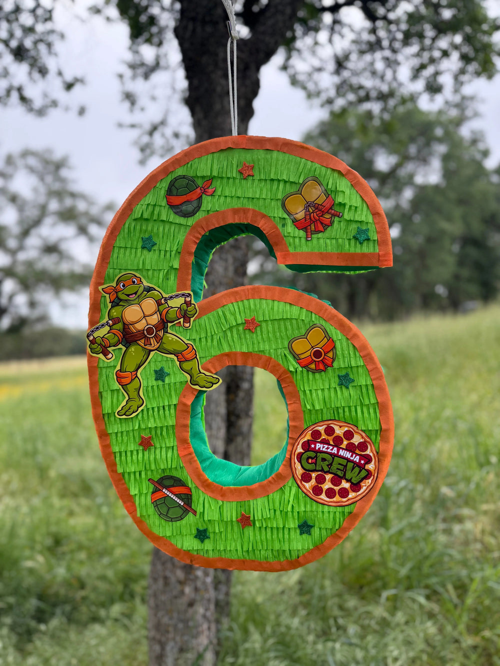 Mutant Turtle Custom Number Piñata | Large Handmade 2D Party Decoration