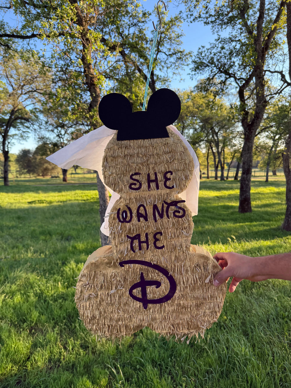 Adult Bachelorette Party Pinata, Penis Shape 23"x16"x4" Girls Night Out Party