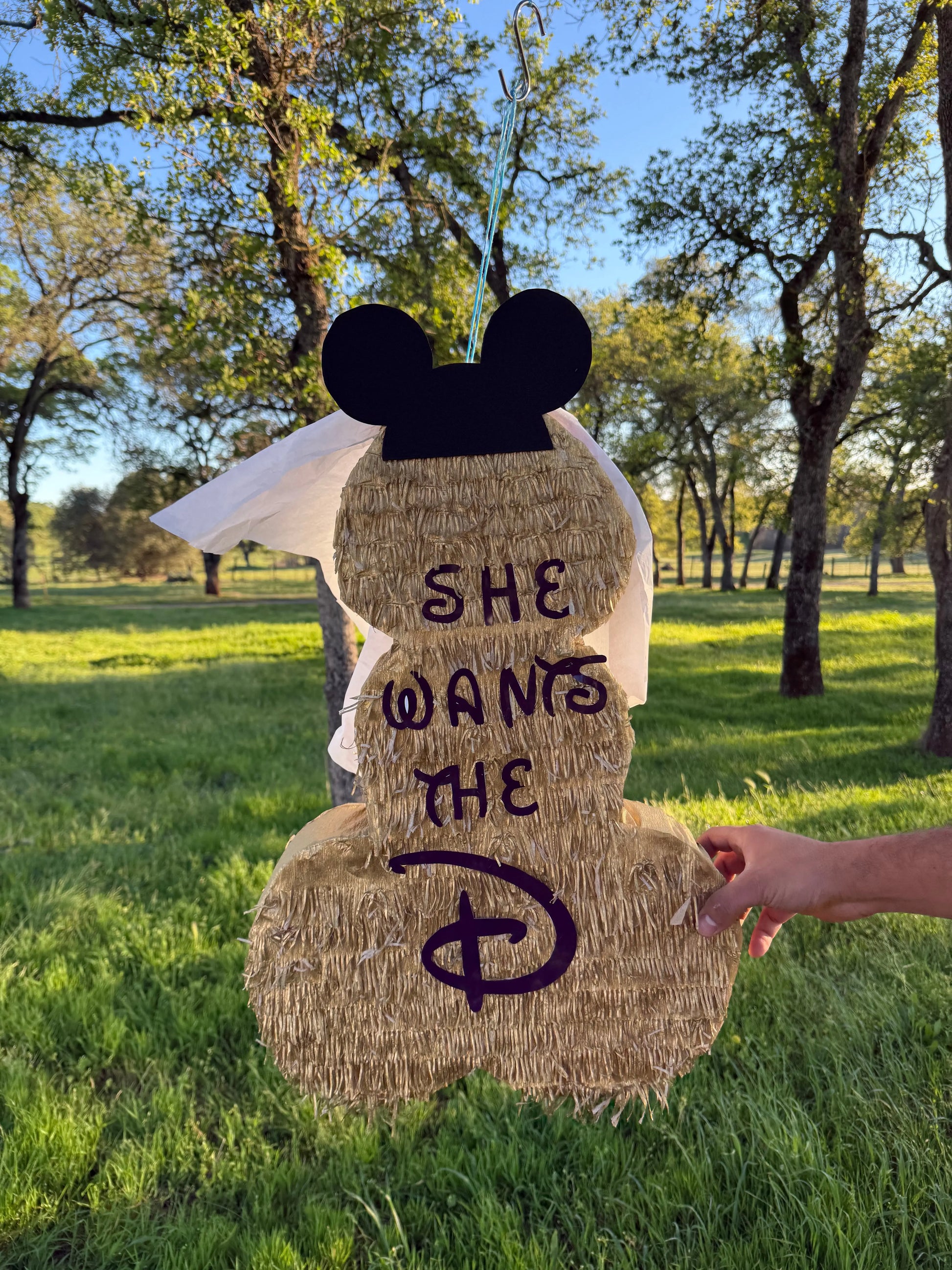 Adult Bachelorette Party Pinata, Penis Shape 23"x16"x4" Girls Night Out Party PinataBloom