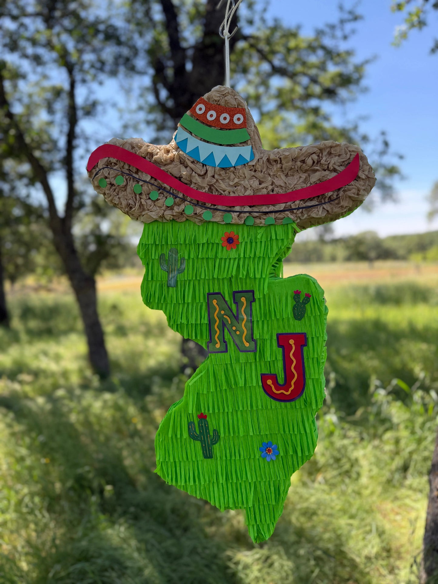 Custom Pinata 24"x18"x4"- We create your idea into a Pinata PinataBloom