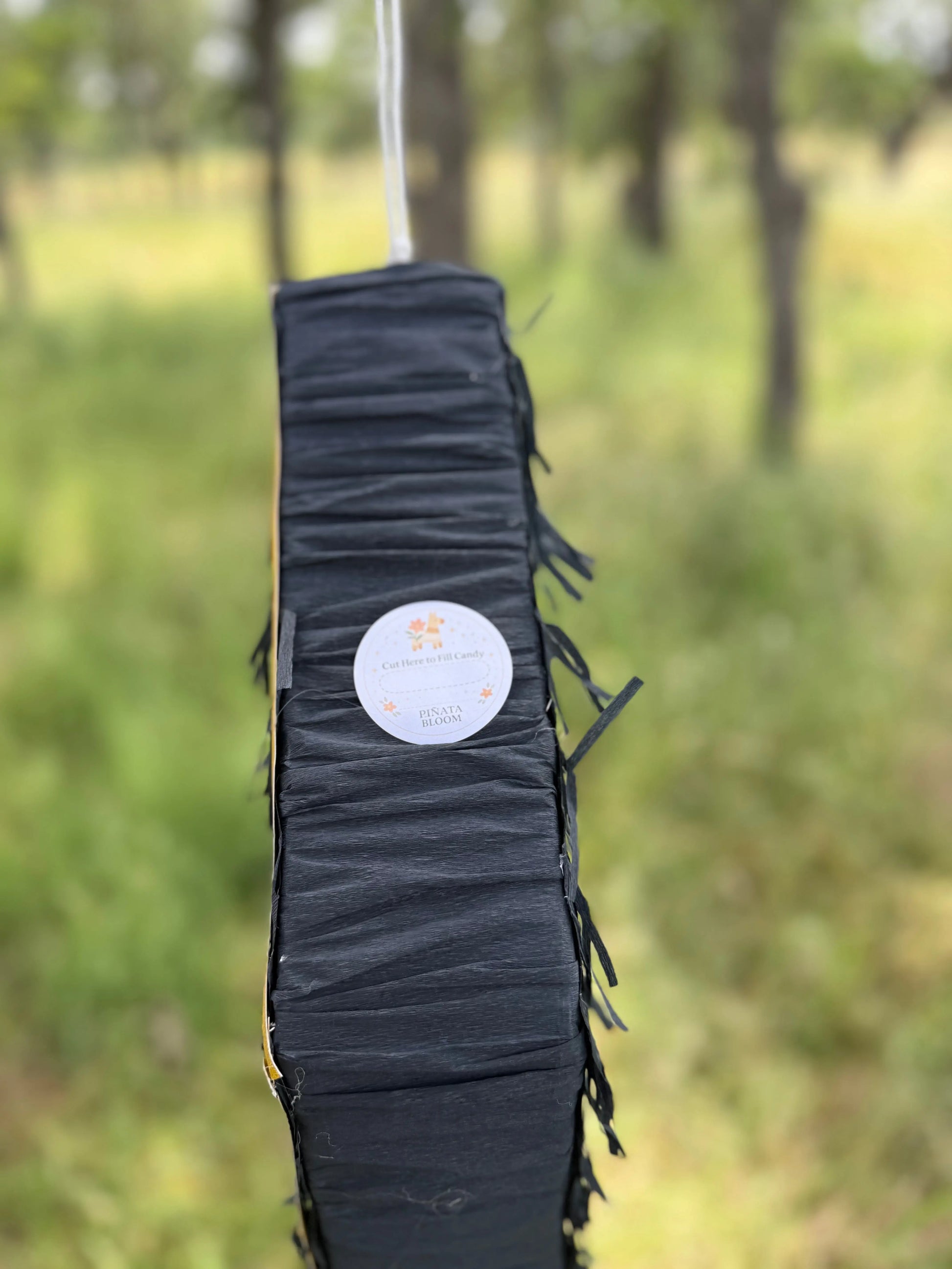 Roll Dice Number Piñata | Custom Birthday Party Decor PinataBloom