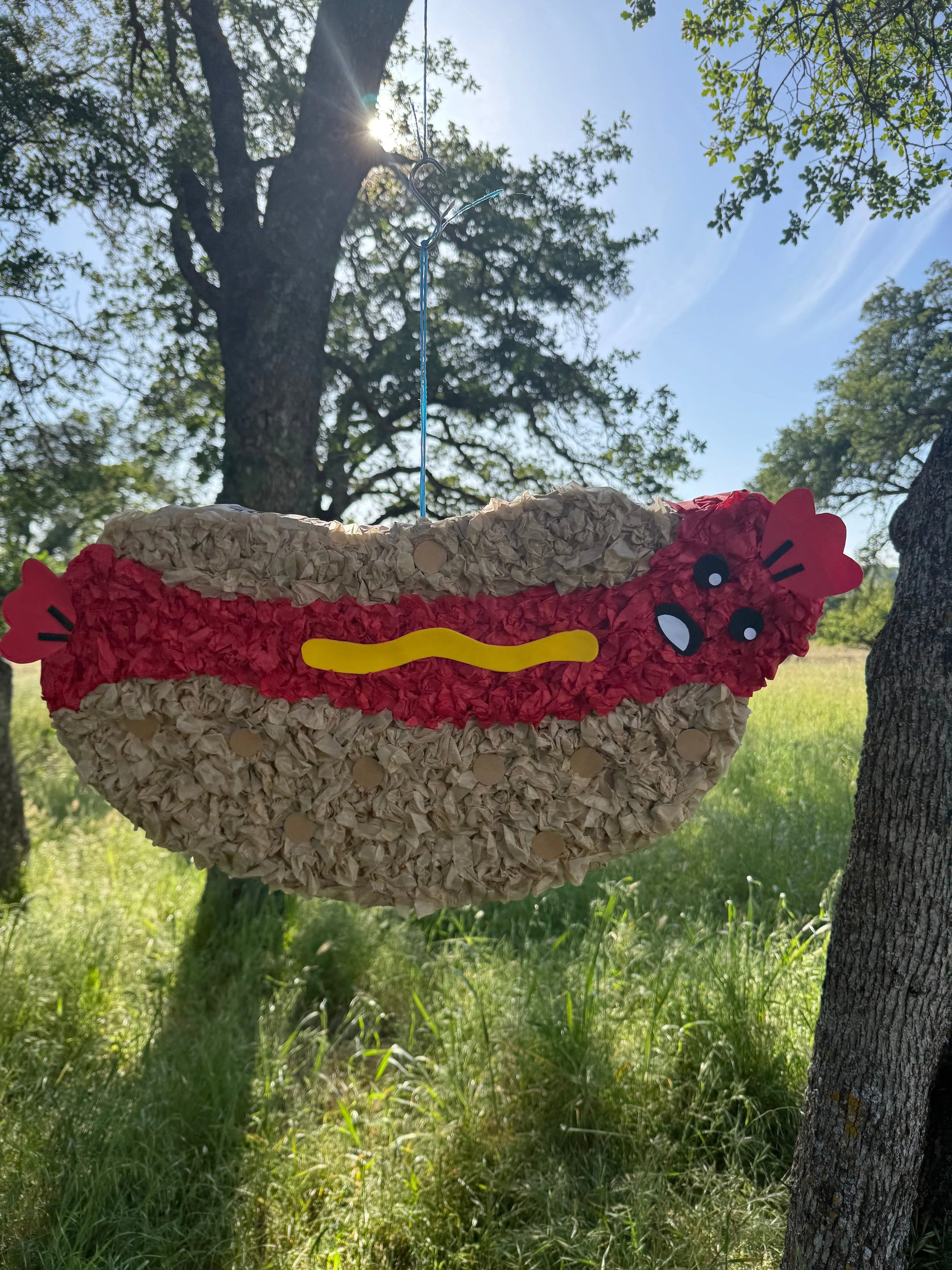 Hot Dog Piñata for Birthday Party Decorations | Large Handmade 2D Party Piñata PinataBloom