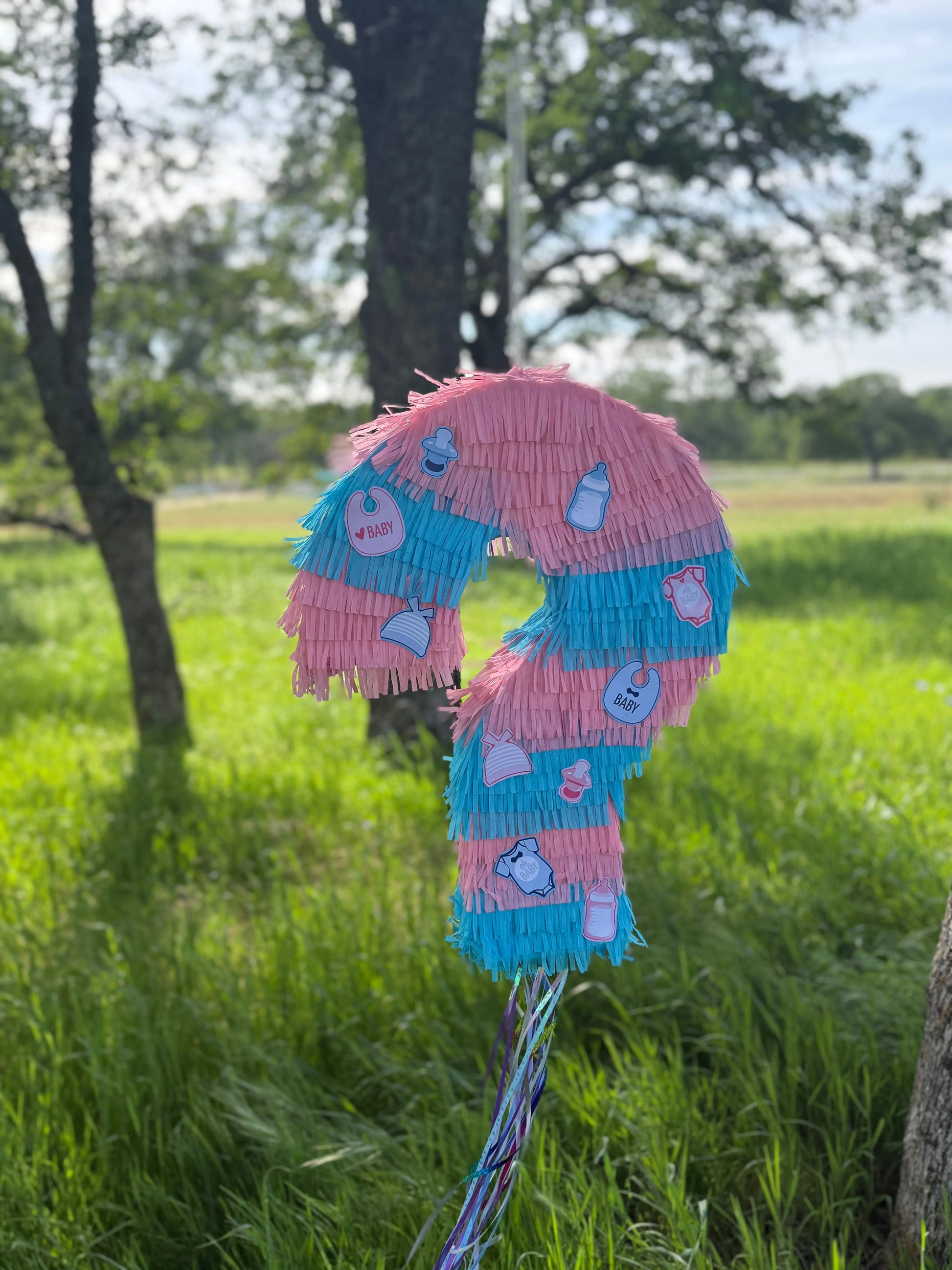 Gender Reveal Question Mark Piñata with Pink or Blue Powder | Large Handmade 2D Party Piñata PinataBloom