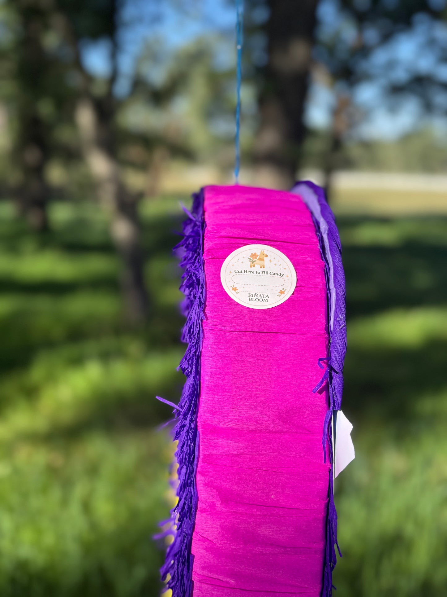 Emotion Characters Piñata – Inspired Birthday Party Decoration