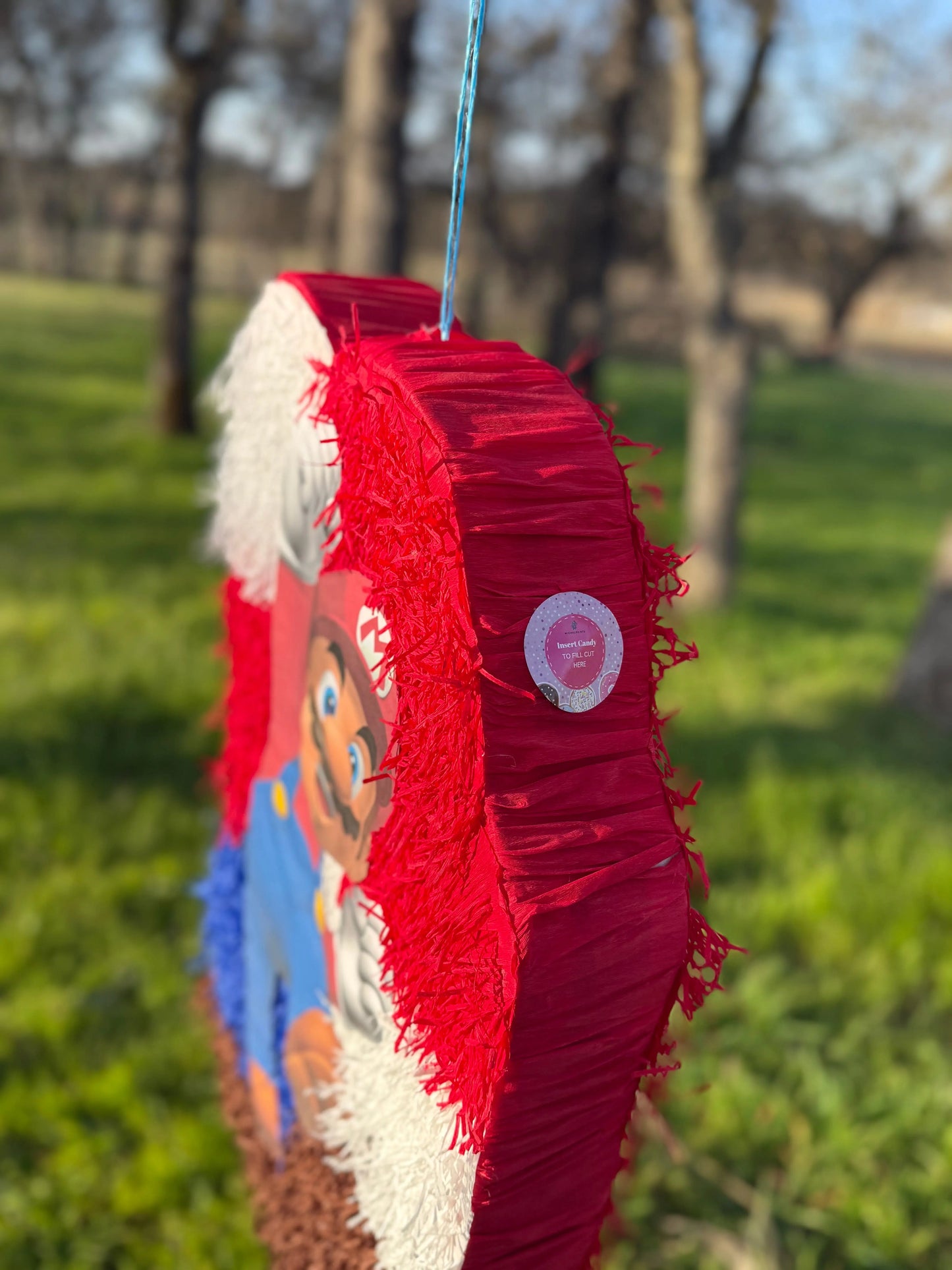Retro Plumber Brothers Inspired Piñata | Large Handmade 2D Gaming Party Decoration PinataBloom