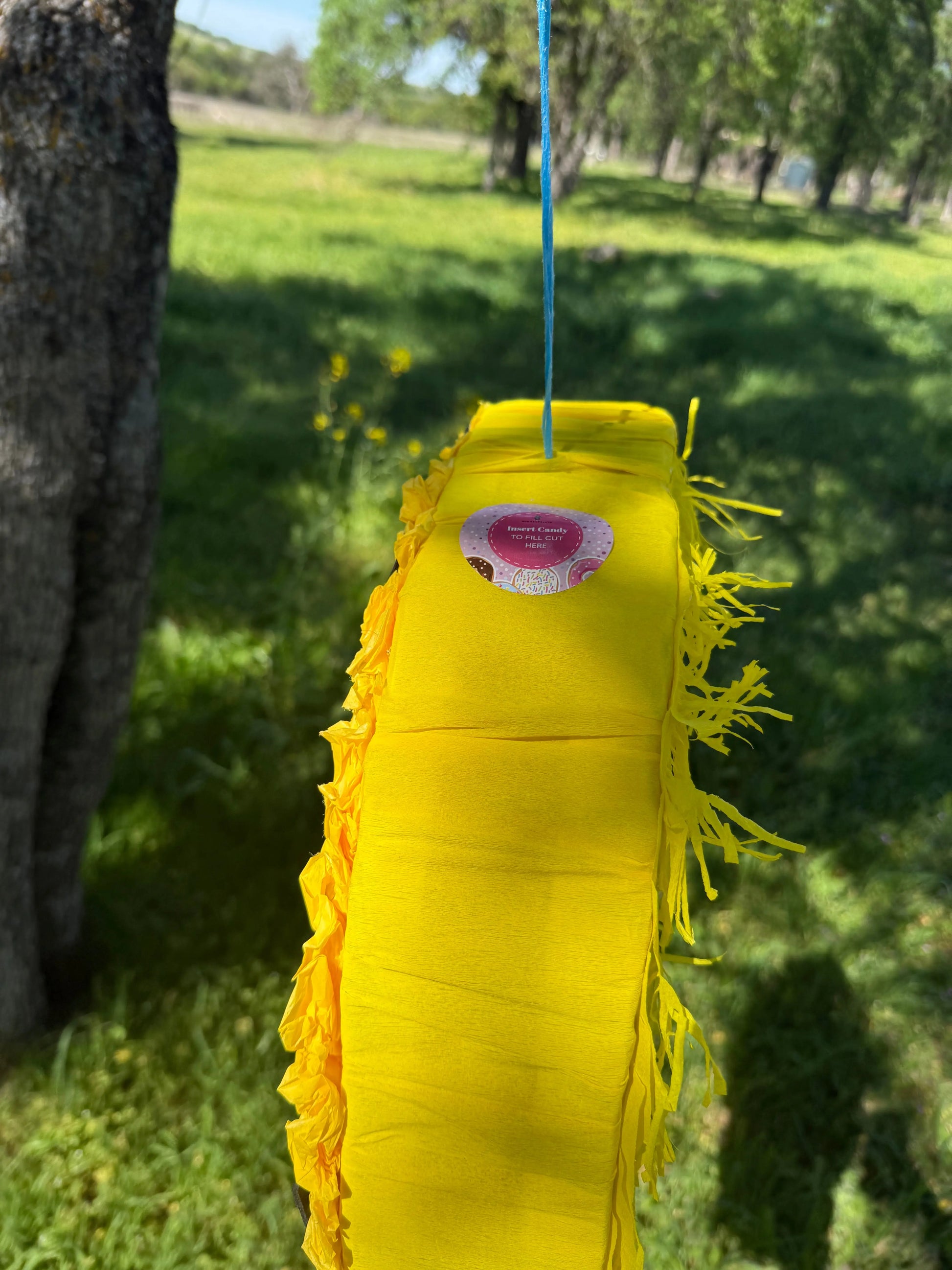 Minion Pinata 24"x18"x4" PinataBloom