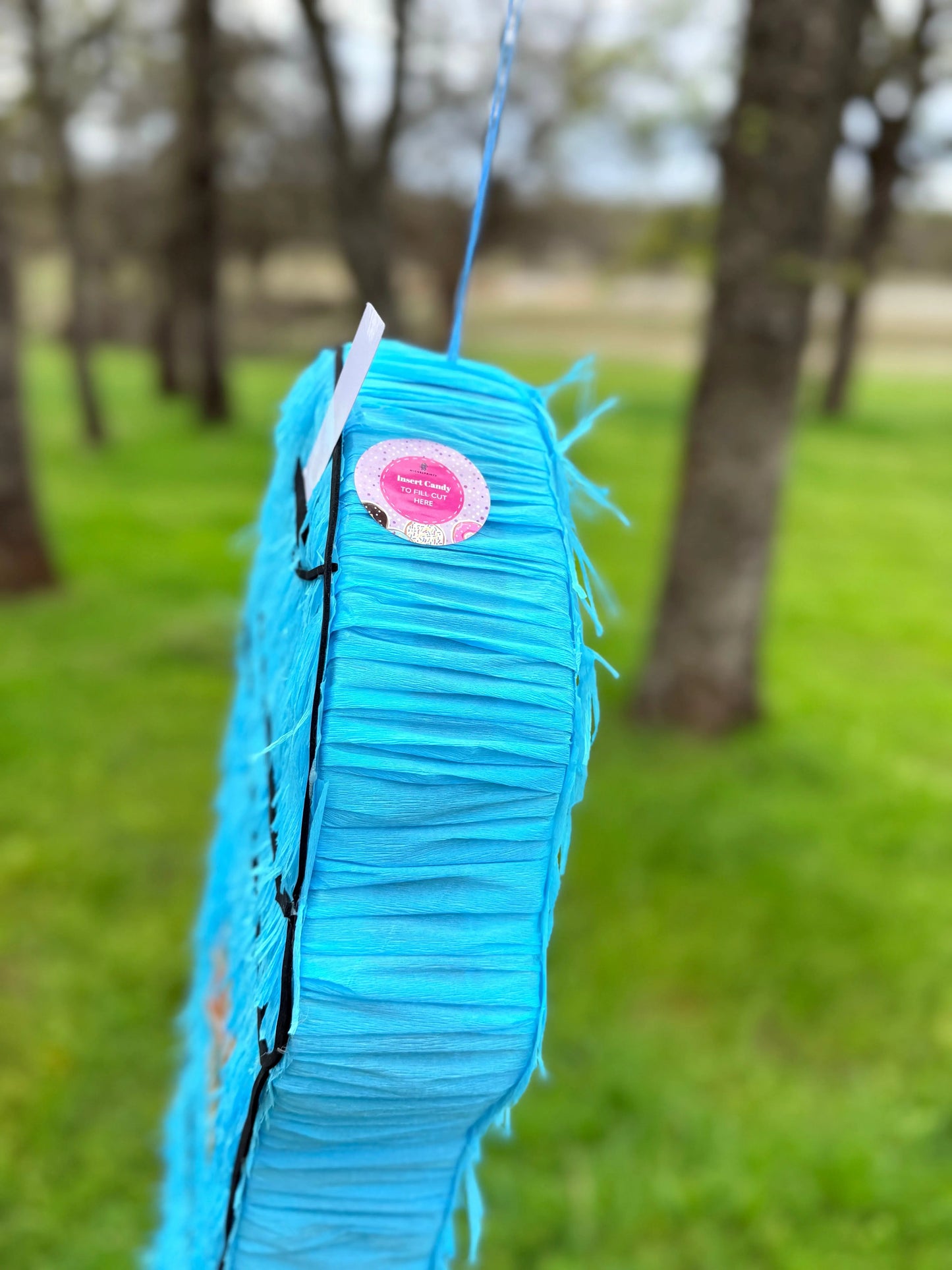 Baja Blast Freeze Piñata: Taco Bell Party Decor 24"x15"x4" | Fast Food Party Decor PinataBloom