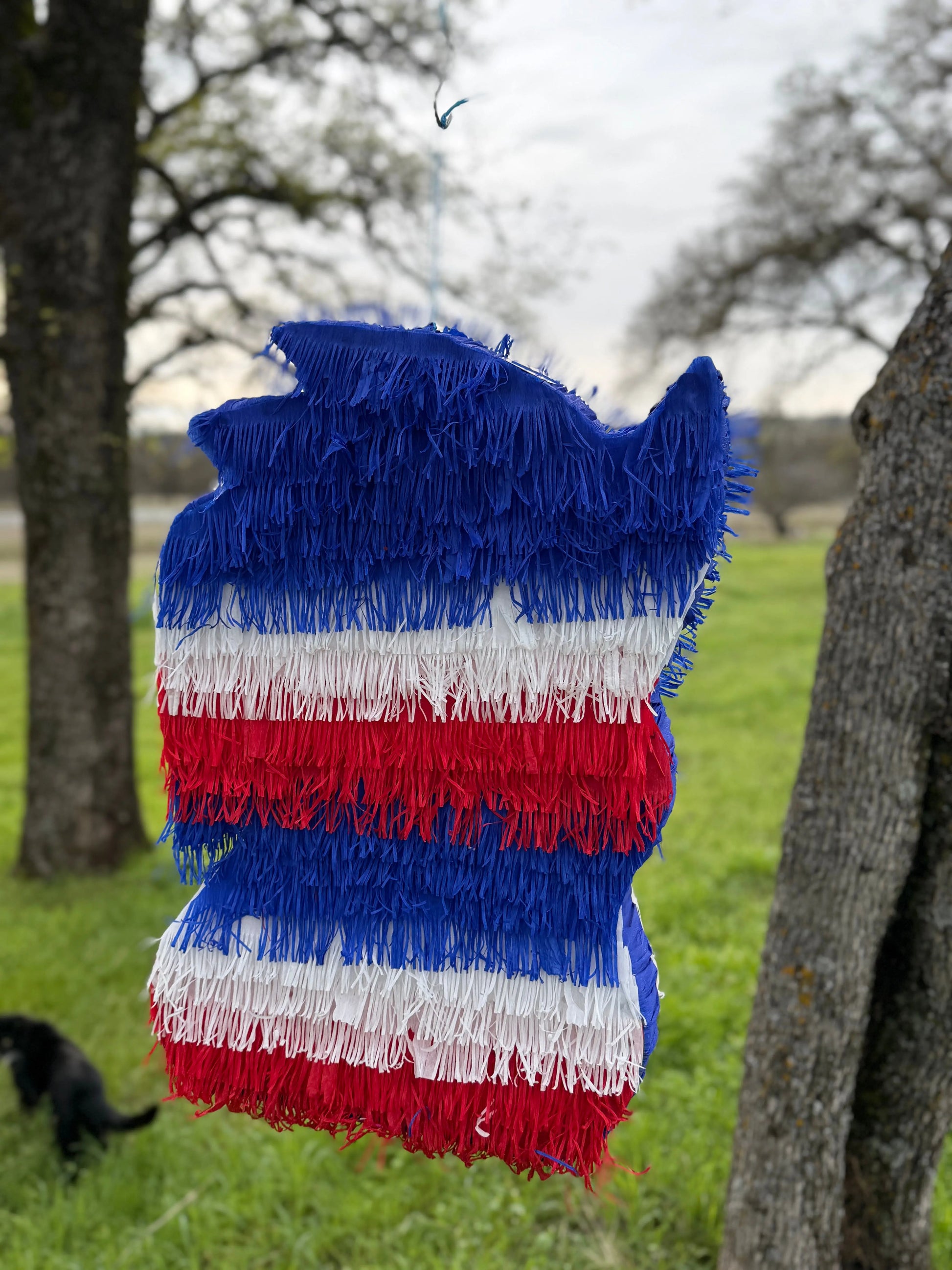 Blue Speed Hero Party Piñata 24"x18"x4" | Gaming Birthday Party Decor PinataBloom