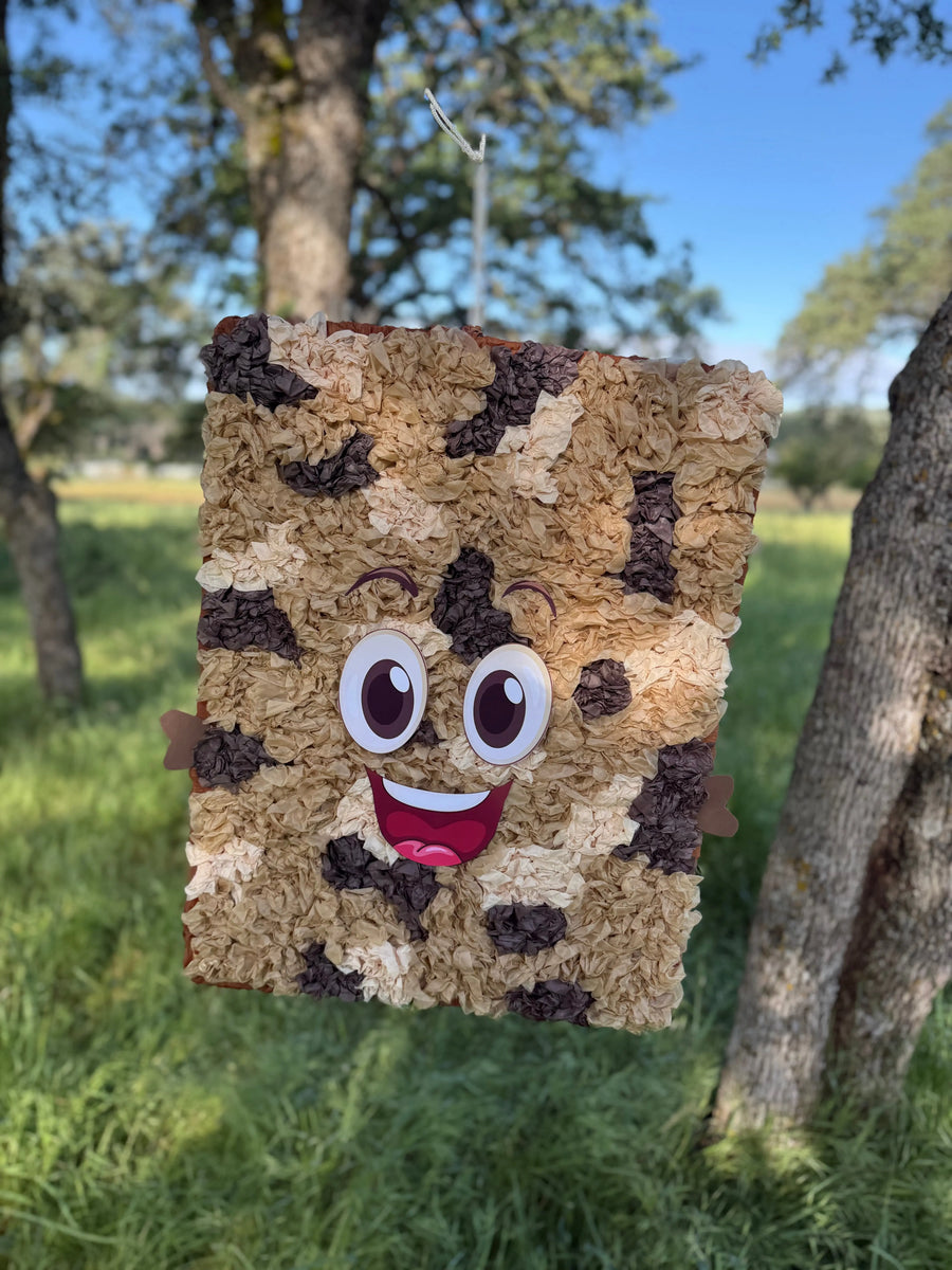 Matzah Cracker Piñata – Custom Food-Themed Party Decoration