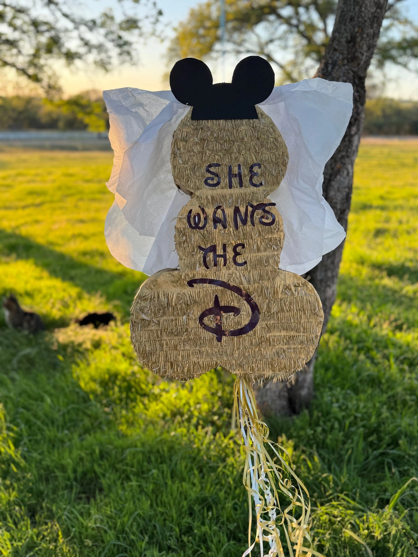 Adult Bachelorette Party Pinata, Penis Shape 23"x16"x4" Girls Night Out Party PinataBloom
