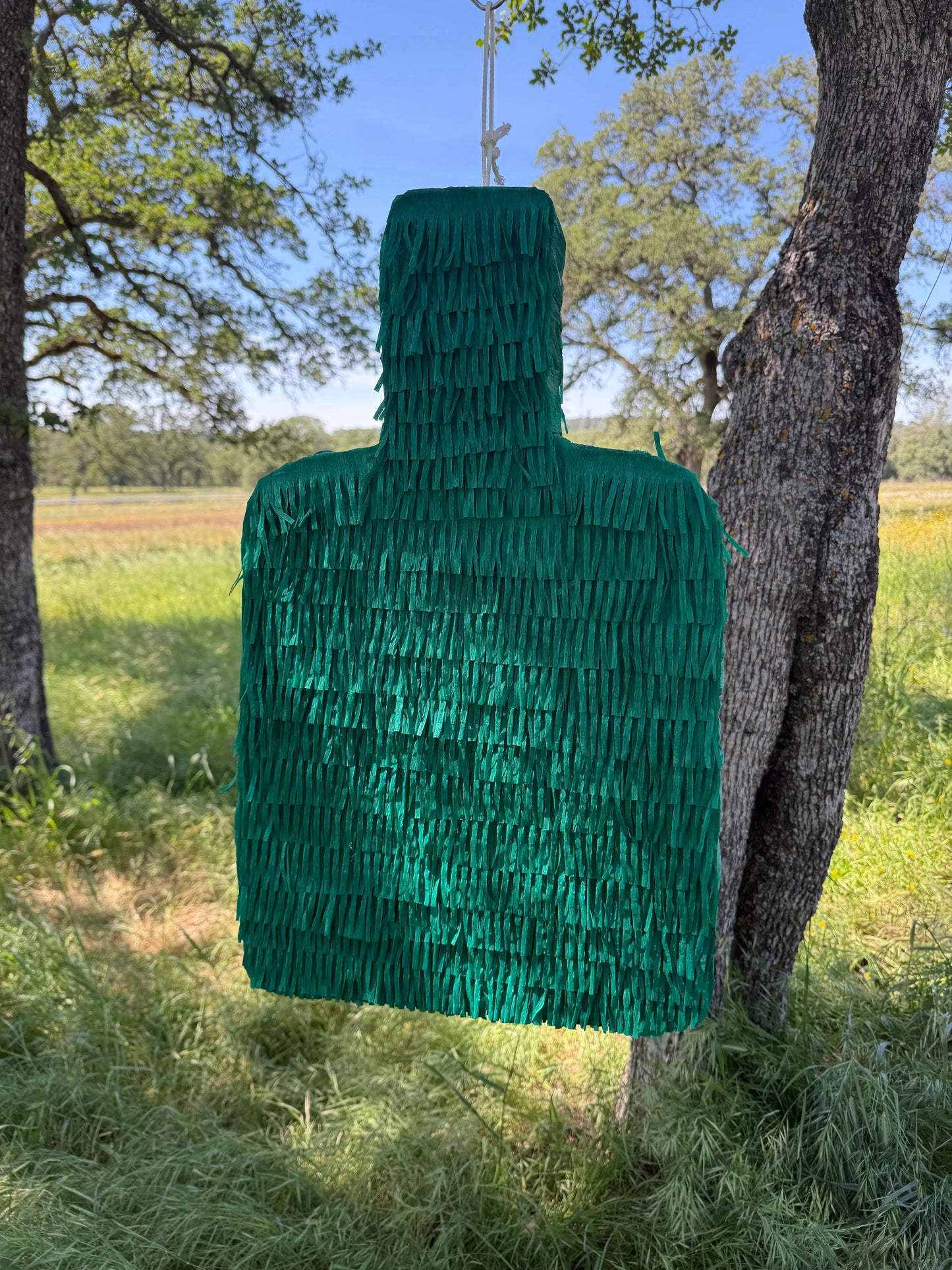 Alcohol Bottle Theme Piñata | Large 2D Party Decoration PinataBloom