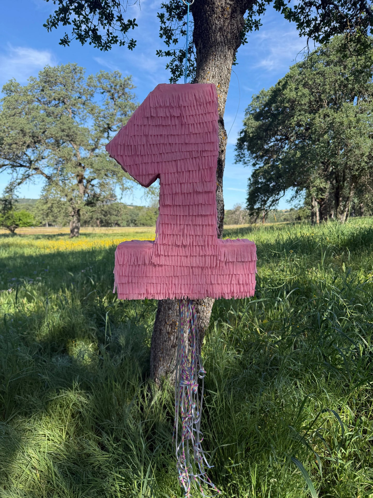 Pink Number Piñata Personalized Birthday Pinata 24"x18"x4" and 30"x20"x4" PinataBloom