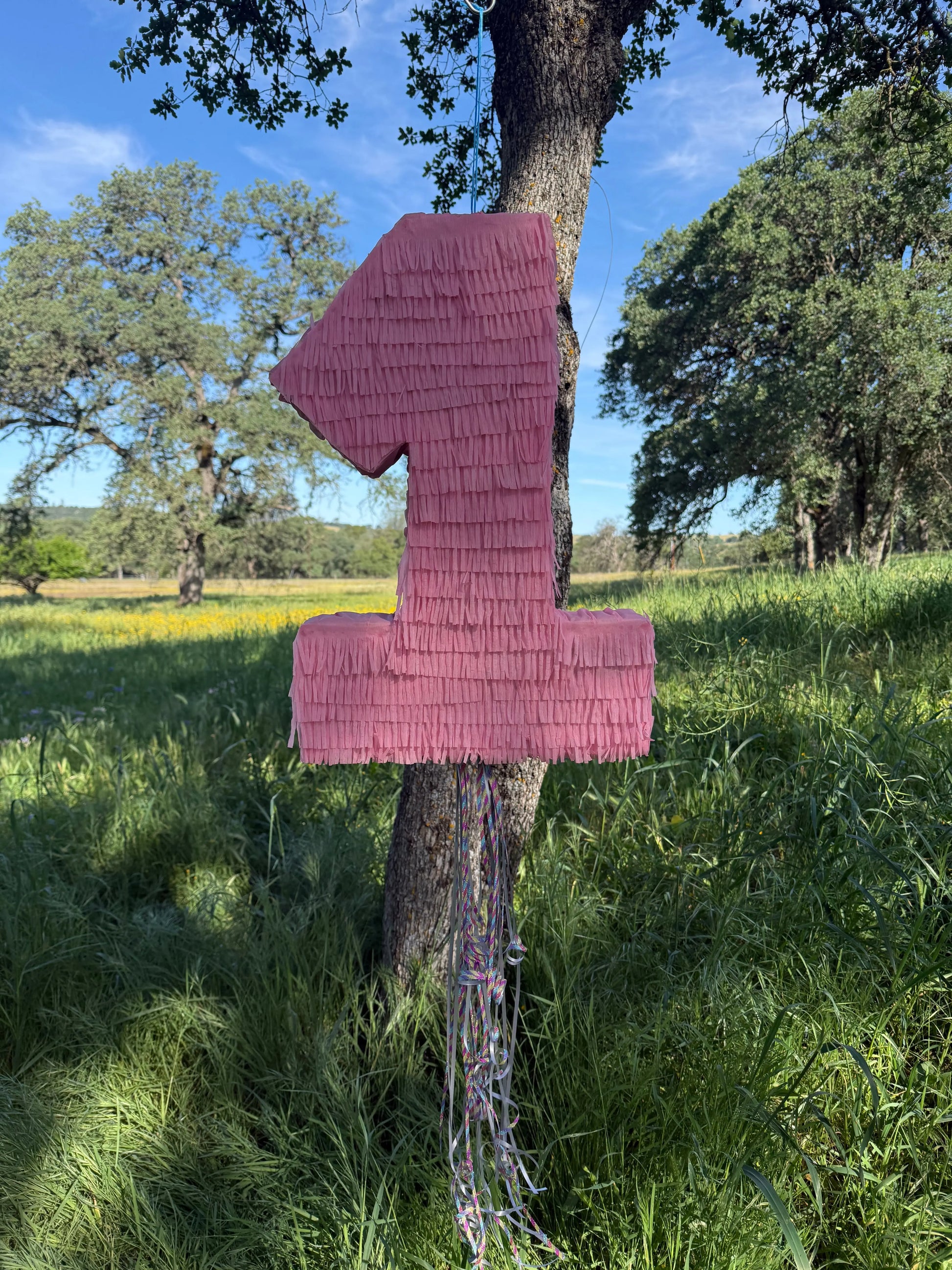 Pink Number Piñata Personalized Birthday Pinata 24"x18"x4" and 30"x20"x4" PinataBloom