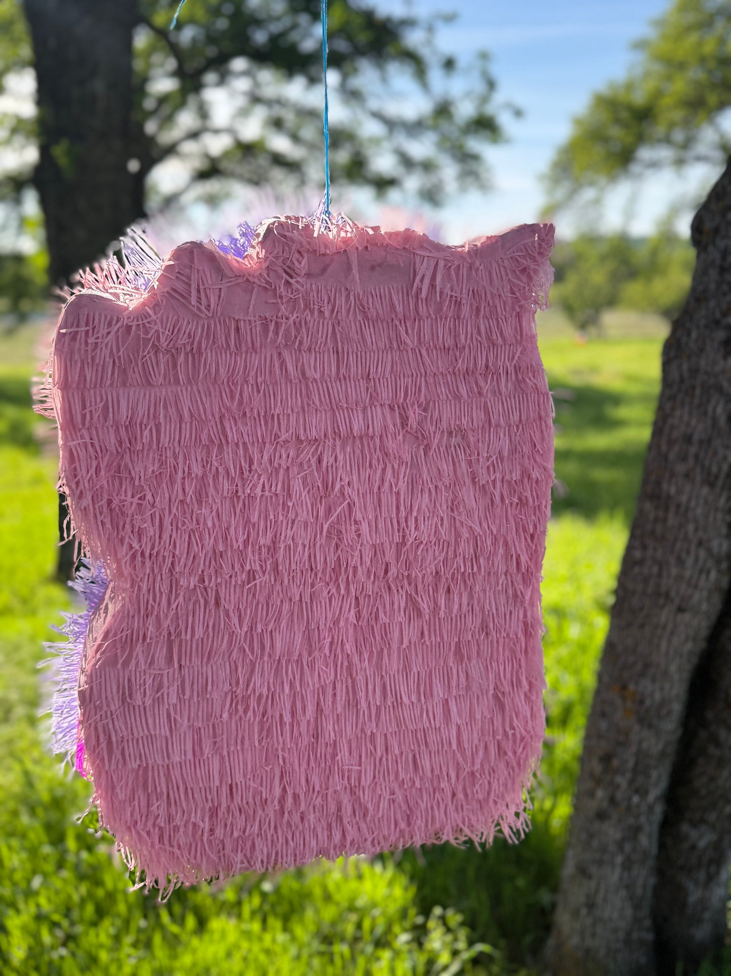 Unicorn Pinata