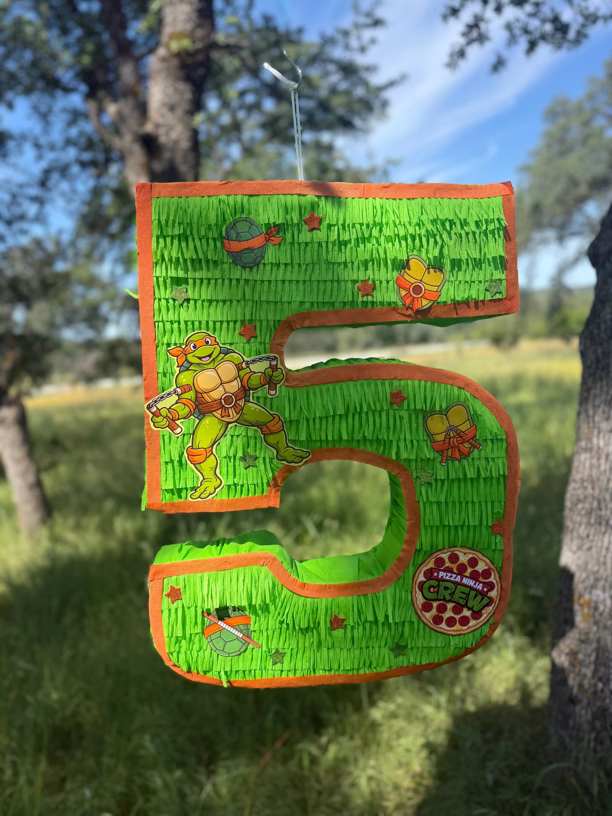 Mutant Turtle Custom Number Piñata | Large Handmade 2D Party Decoration PinataBloom