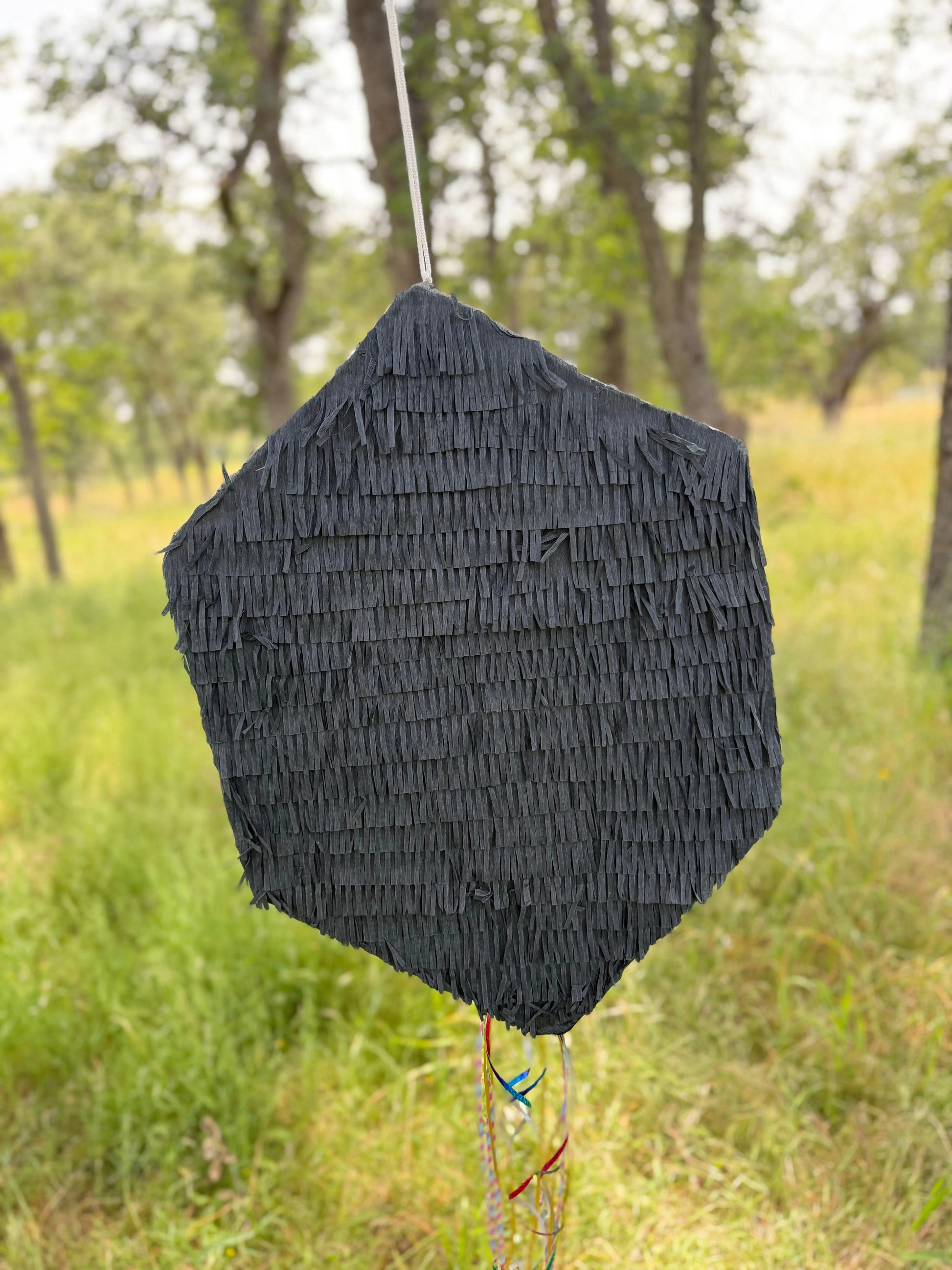 Roll Dice Number Piñata | Custom Birthday Party Decor PinataBloom