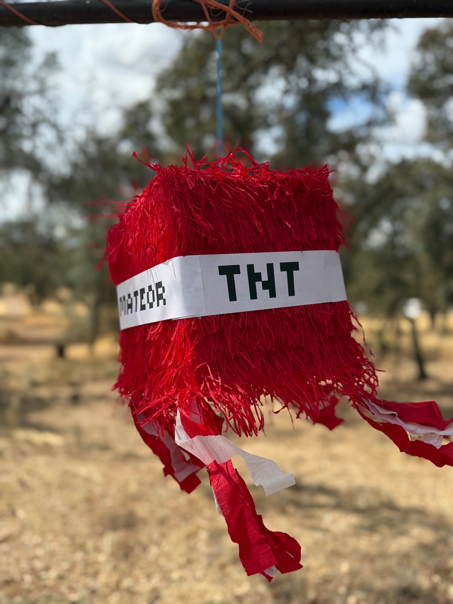 TNT Mystery Box Pinata Heavy Duty