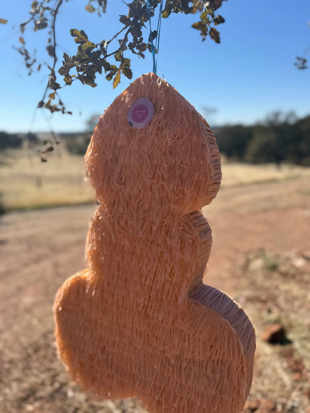 Pennis Shape Pinata