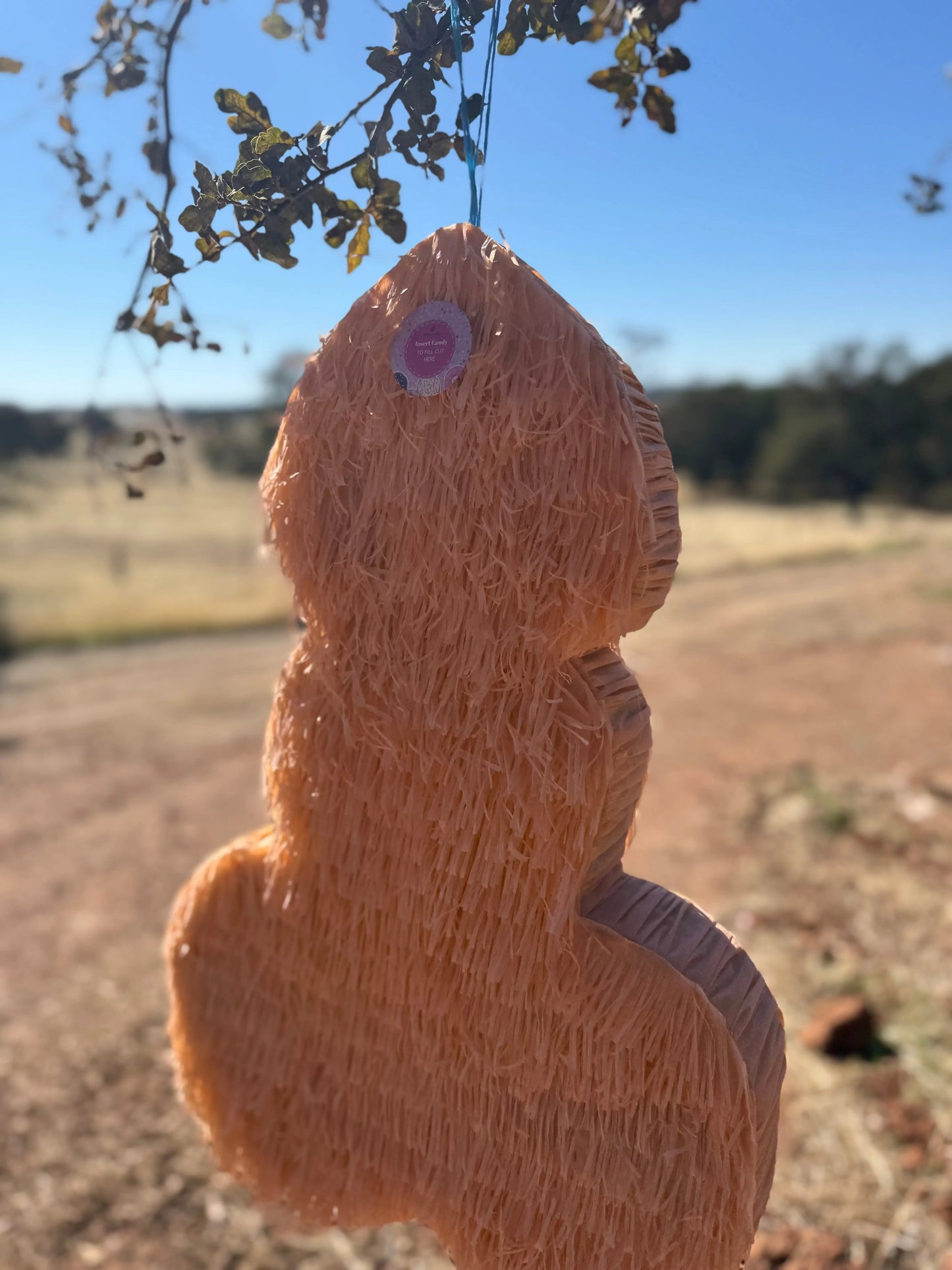 Pennis Shape Pinata PinataBloom