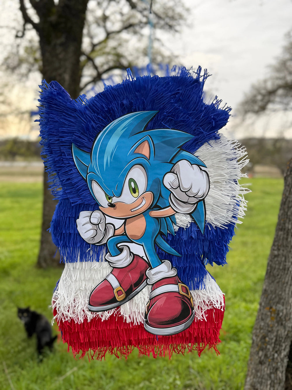 Blue Speed Hero Party Piñata 24"x18"x4" | Gaming Birthday Party Decor