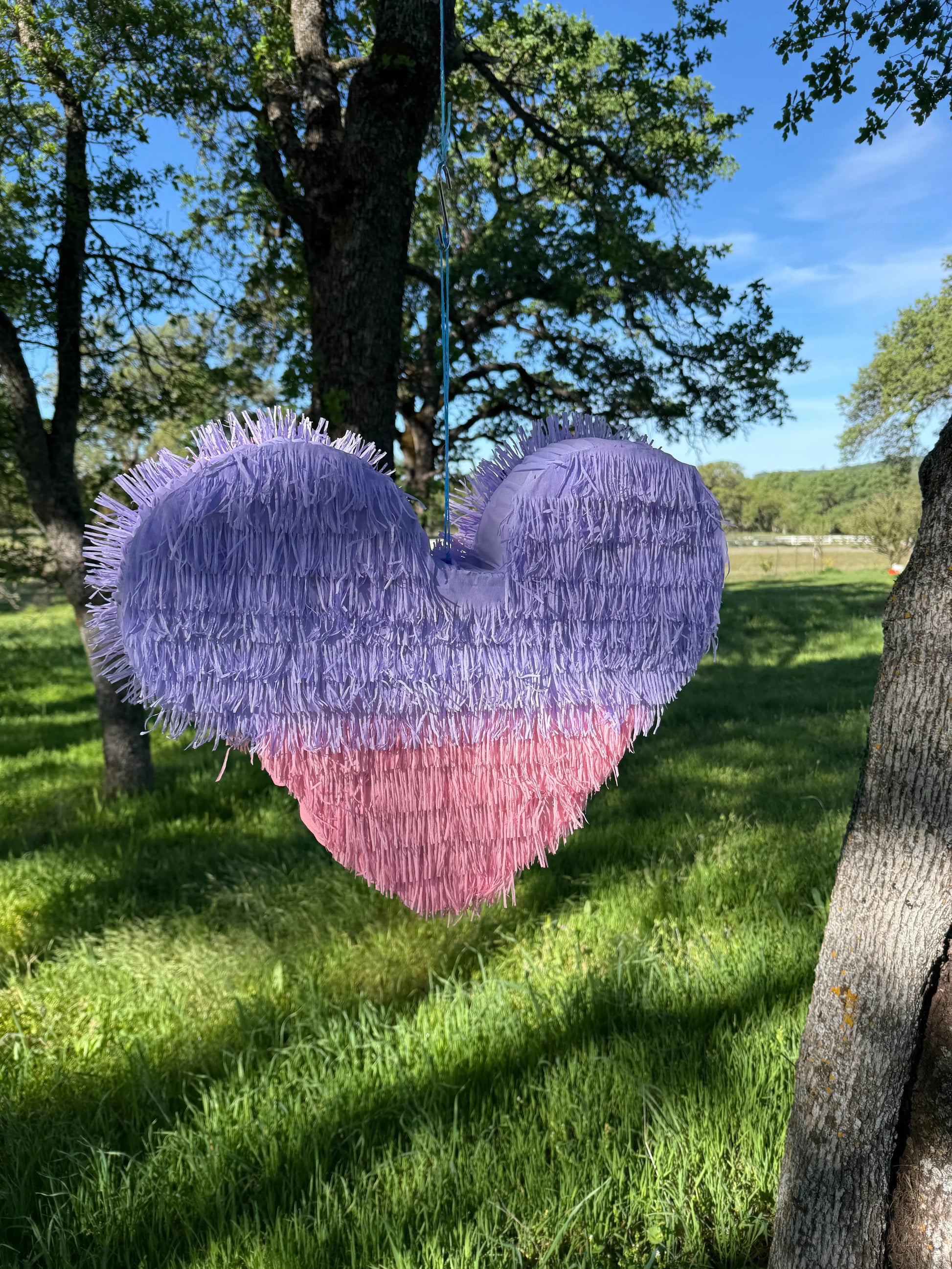 Pink Fairy Character Inspired Piñata | Large Handmade 2D Party Decoration PinataBloom