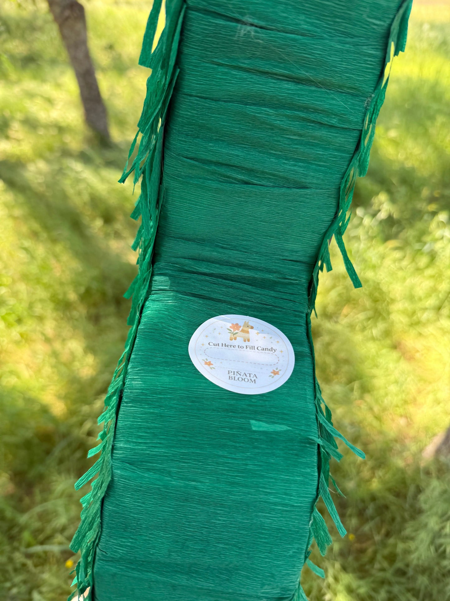 Alcohol Bottle Theme Piñata | Large 2D Party Decoration PinataBloom