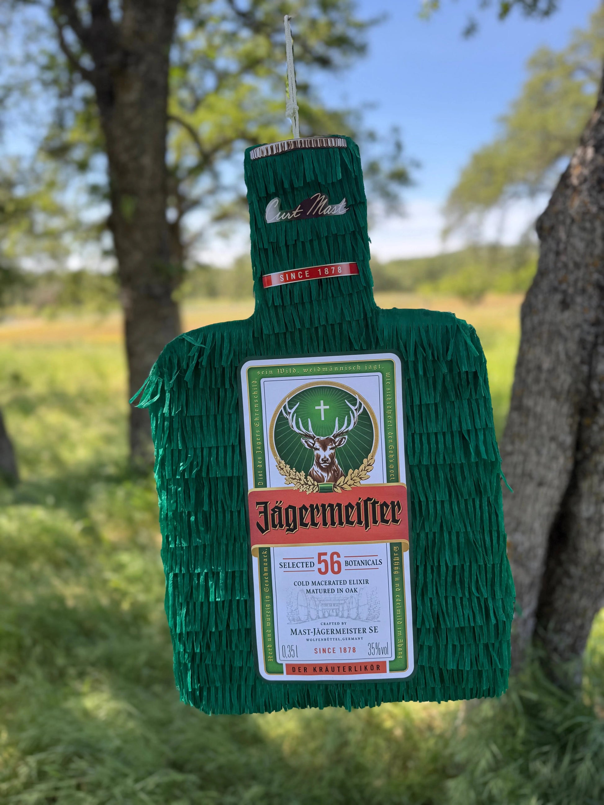 Alcohol Bottle Theme Piñata | Large 2D Party Decoration PinataBloom