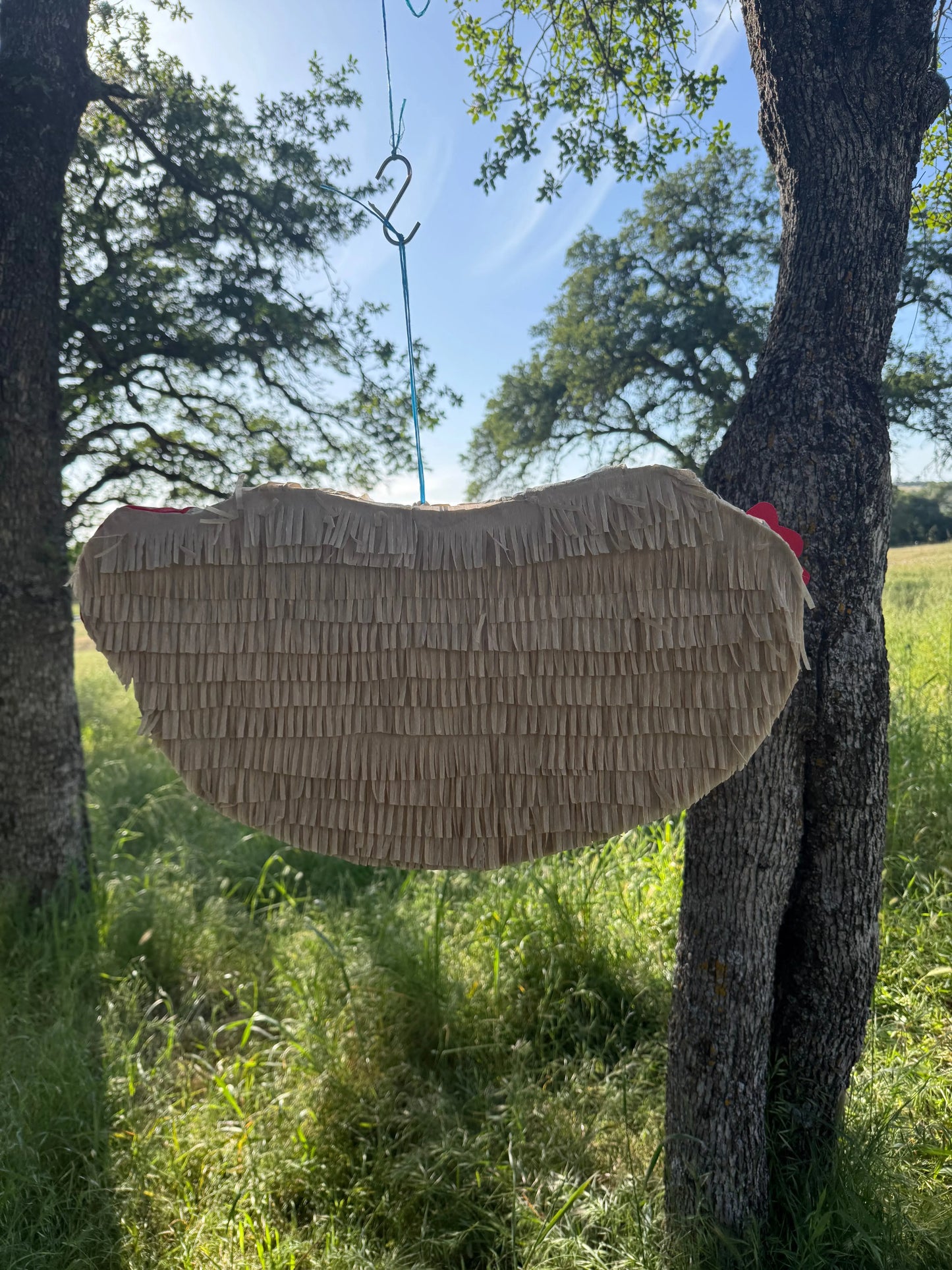 Hot Dog Piñata for Birthday Party Decorations | Large Handmade 2D Party Piñata PinataBloom