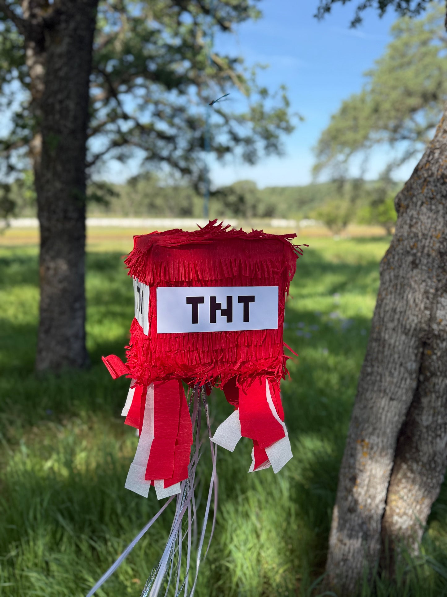 TNT Mystery Box Pinata Heavy Duty
