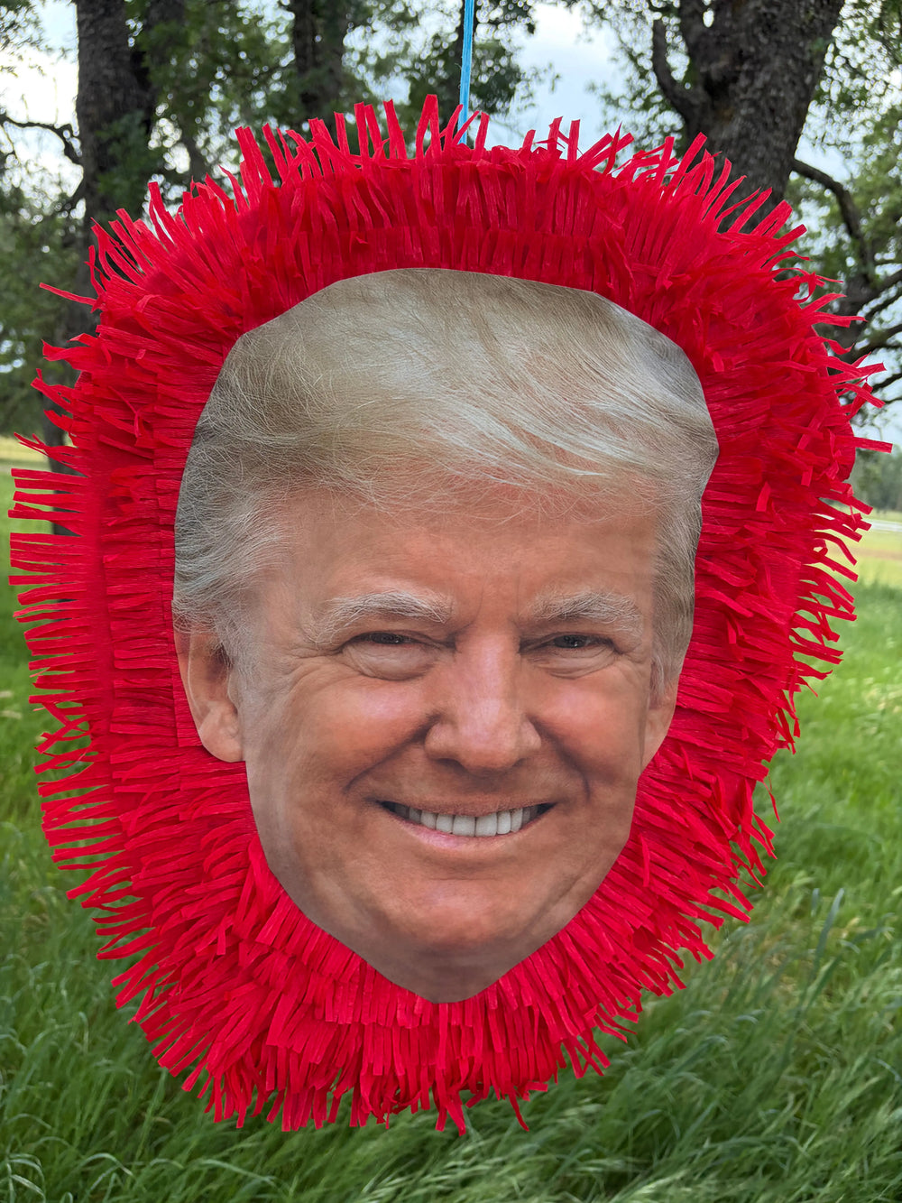 President Piñata 24"x18"x4"