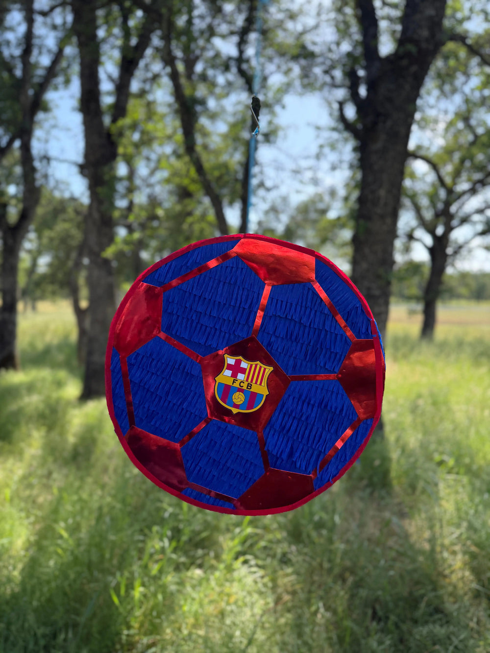 Custom Soccer Ball Piñata, Personalized Team Colors, Any Club or Kids Team, Birthday Party Decoration