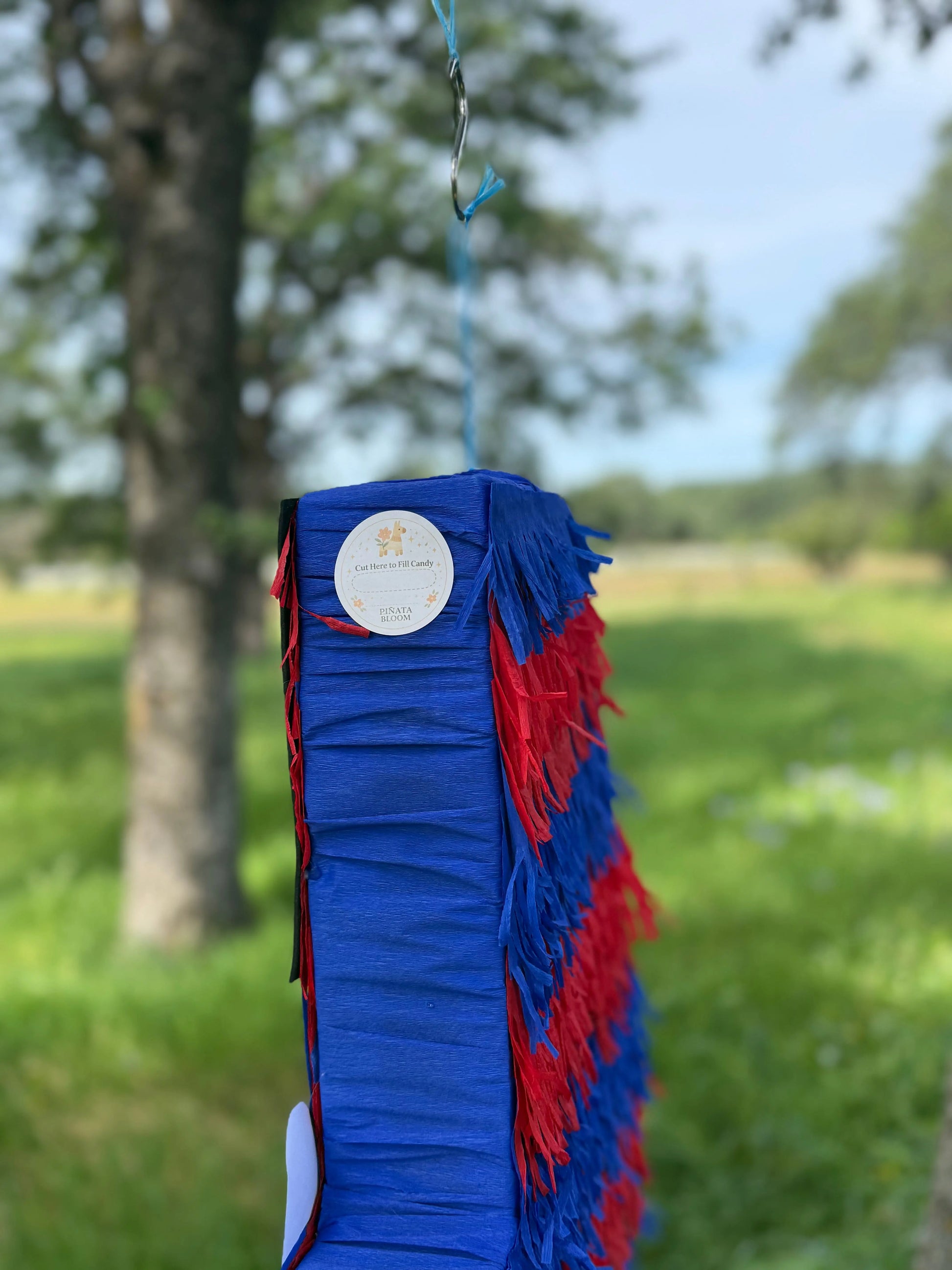 Superhero Web Hero Number Piñata | Large Handmade 2D Birthday Party Piñata PinataBloom