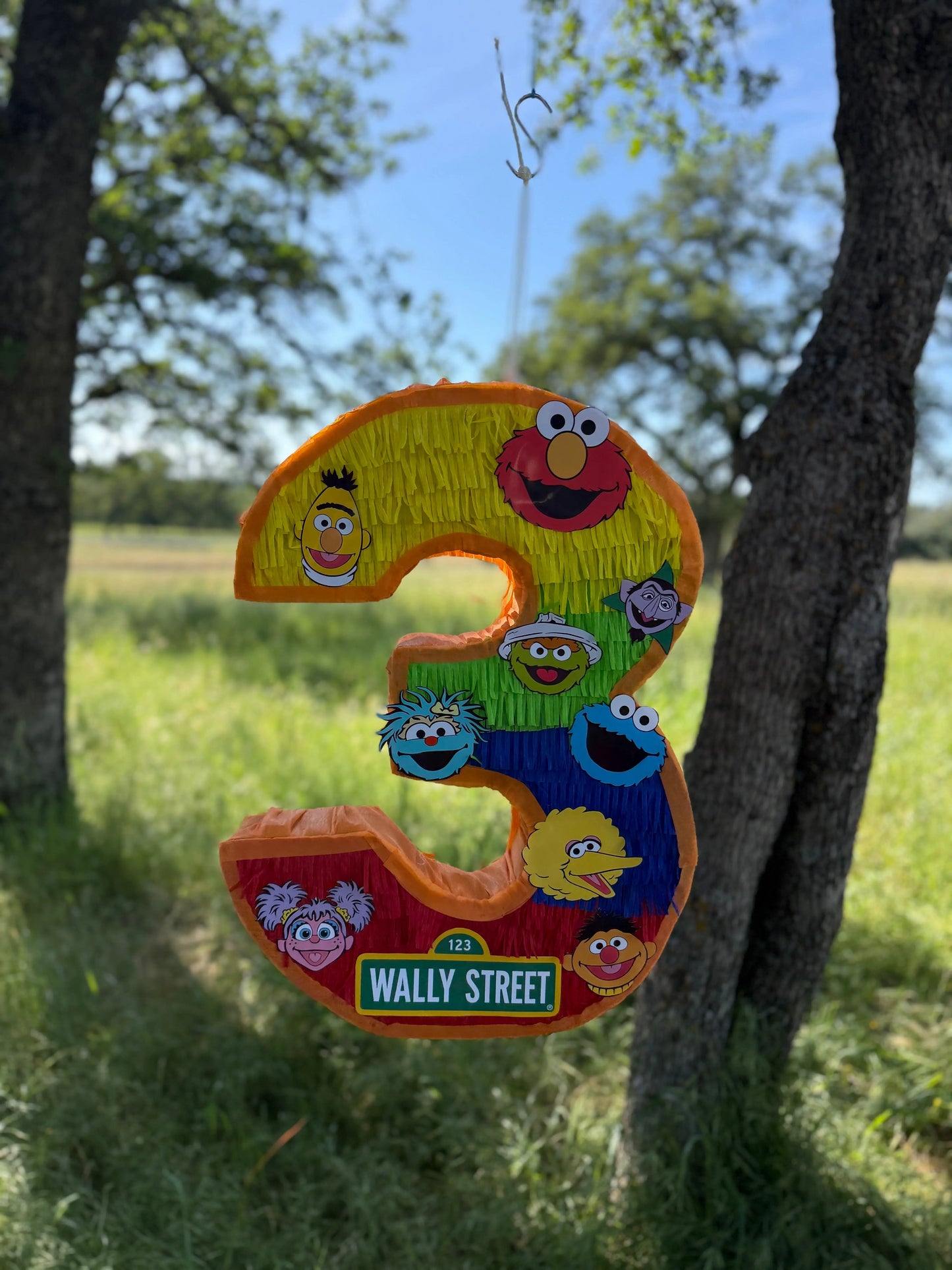Custom Monster Number Pinata 24"x18"x4" PinataBloom