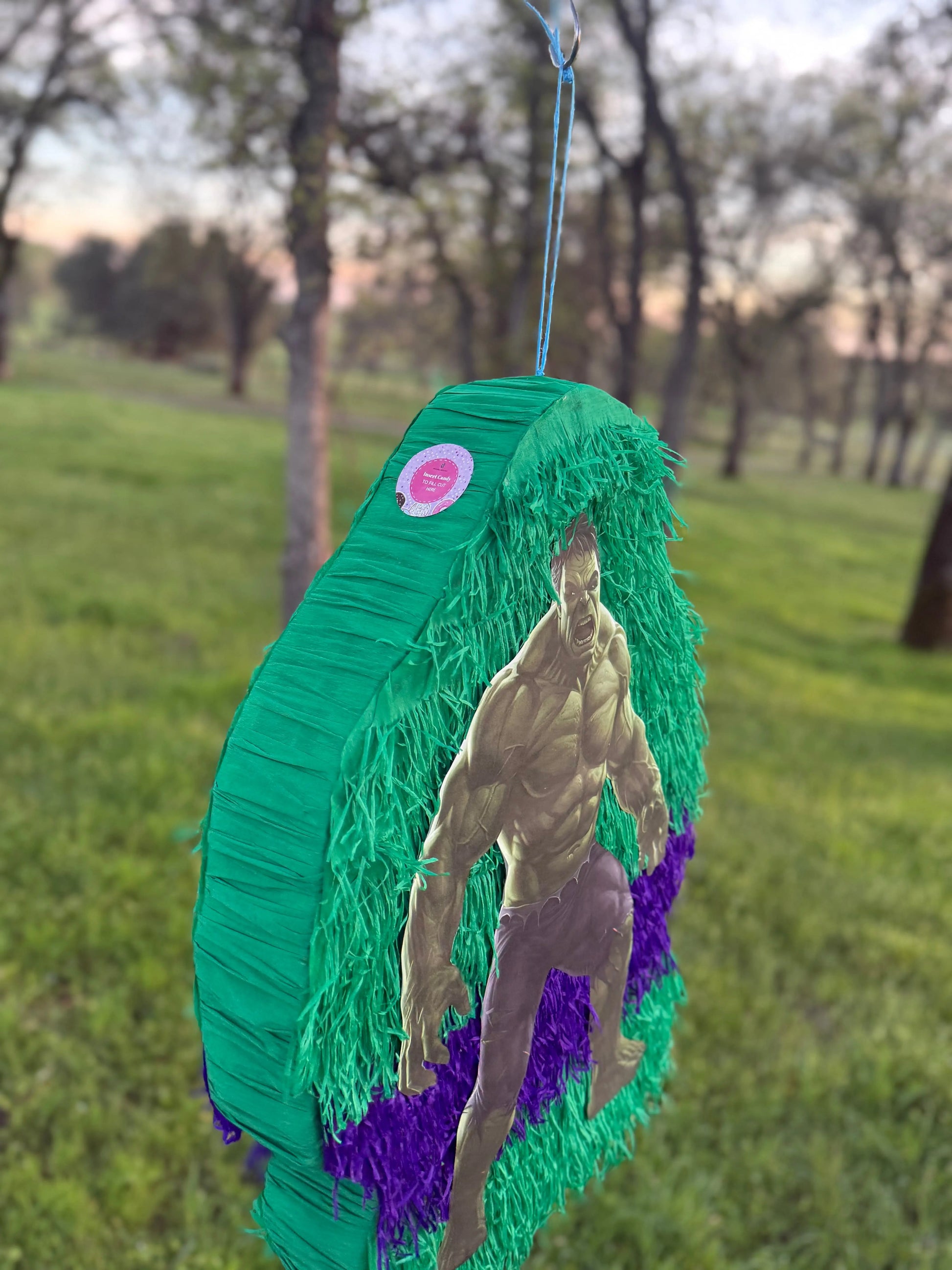 Green Superhero Inspired Piñata | Large Handmade 2D Party Decoration PinataBloom
