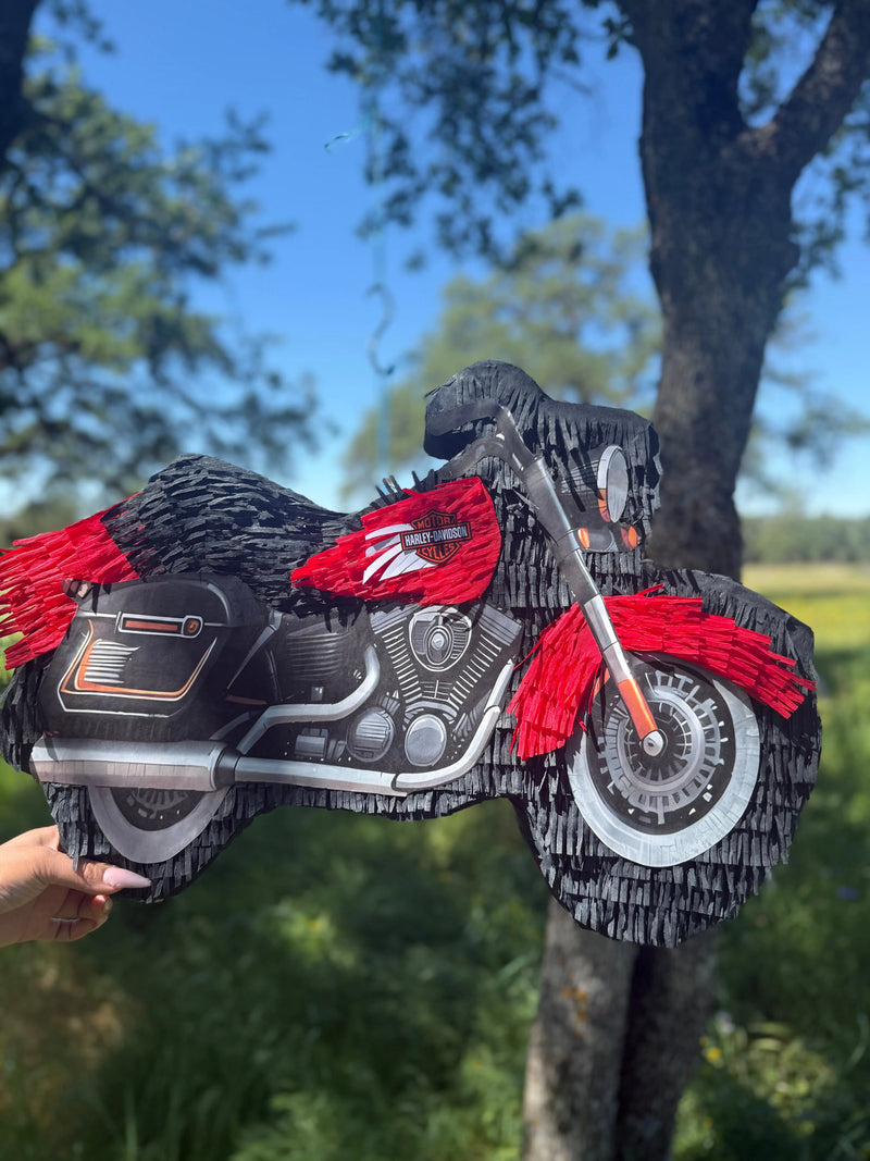 Custom Piñata