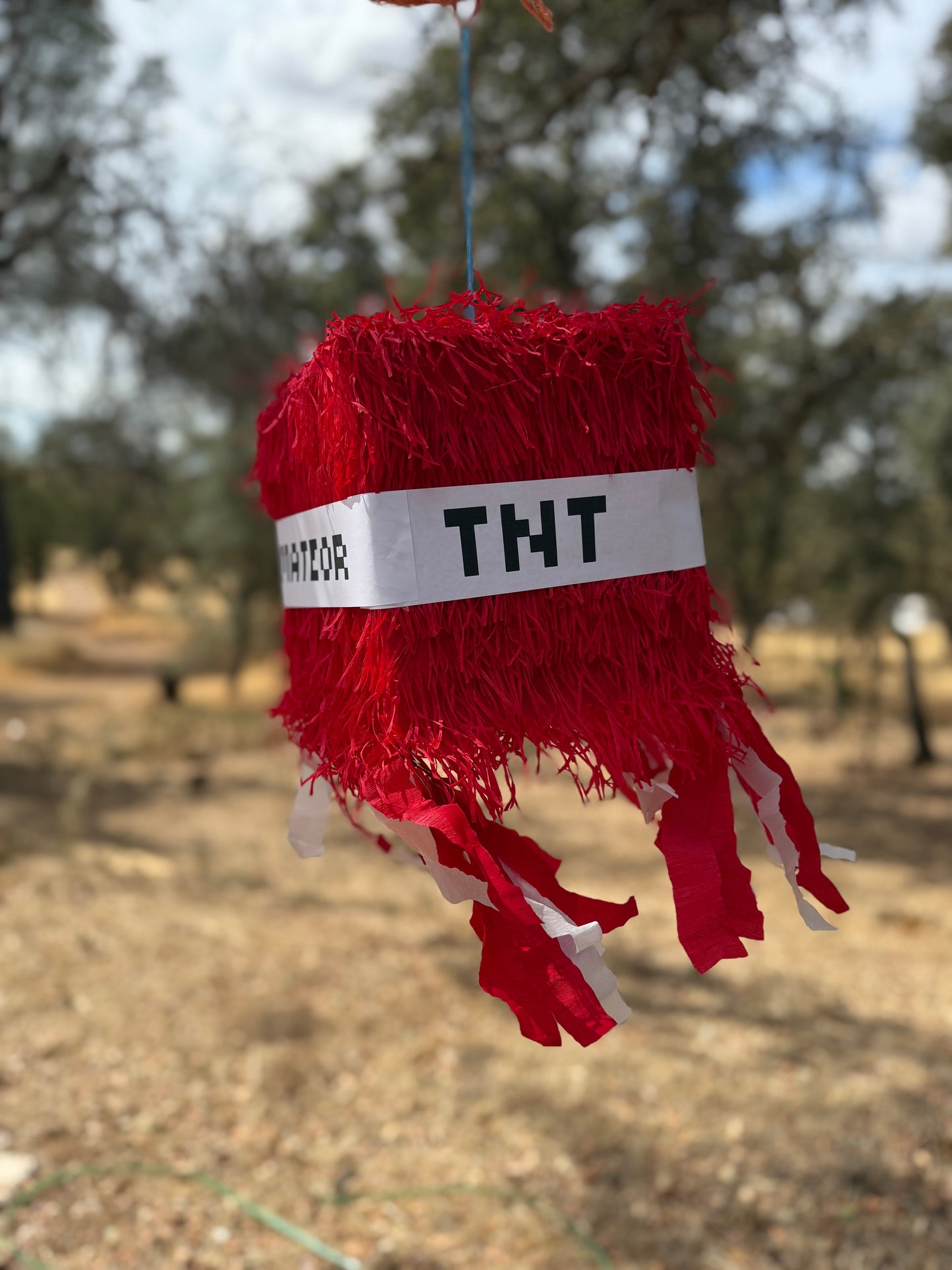 TNT Mystery Box Pinata Heavy Duty