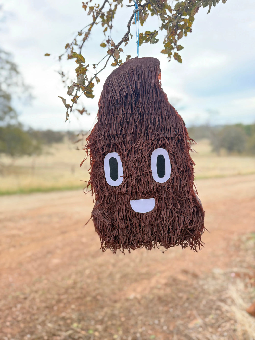 Poop Pinata