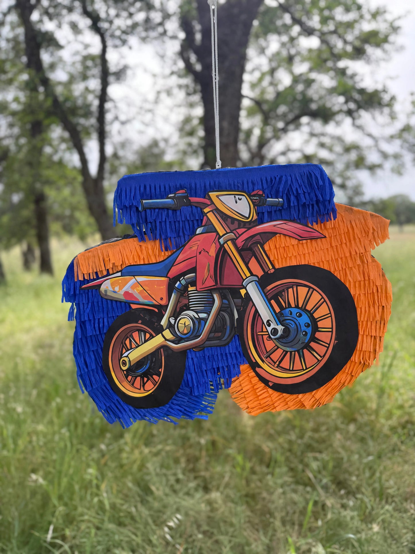 Handmade Dirt Bike Piñata | Motorcycle Birthday Party Decor 24"x18"x4" & 30"x20"x4" PinataBloom